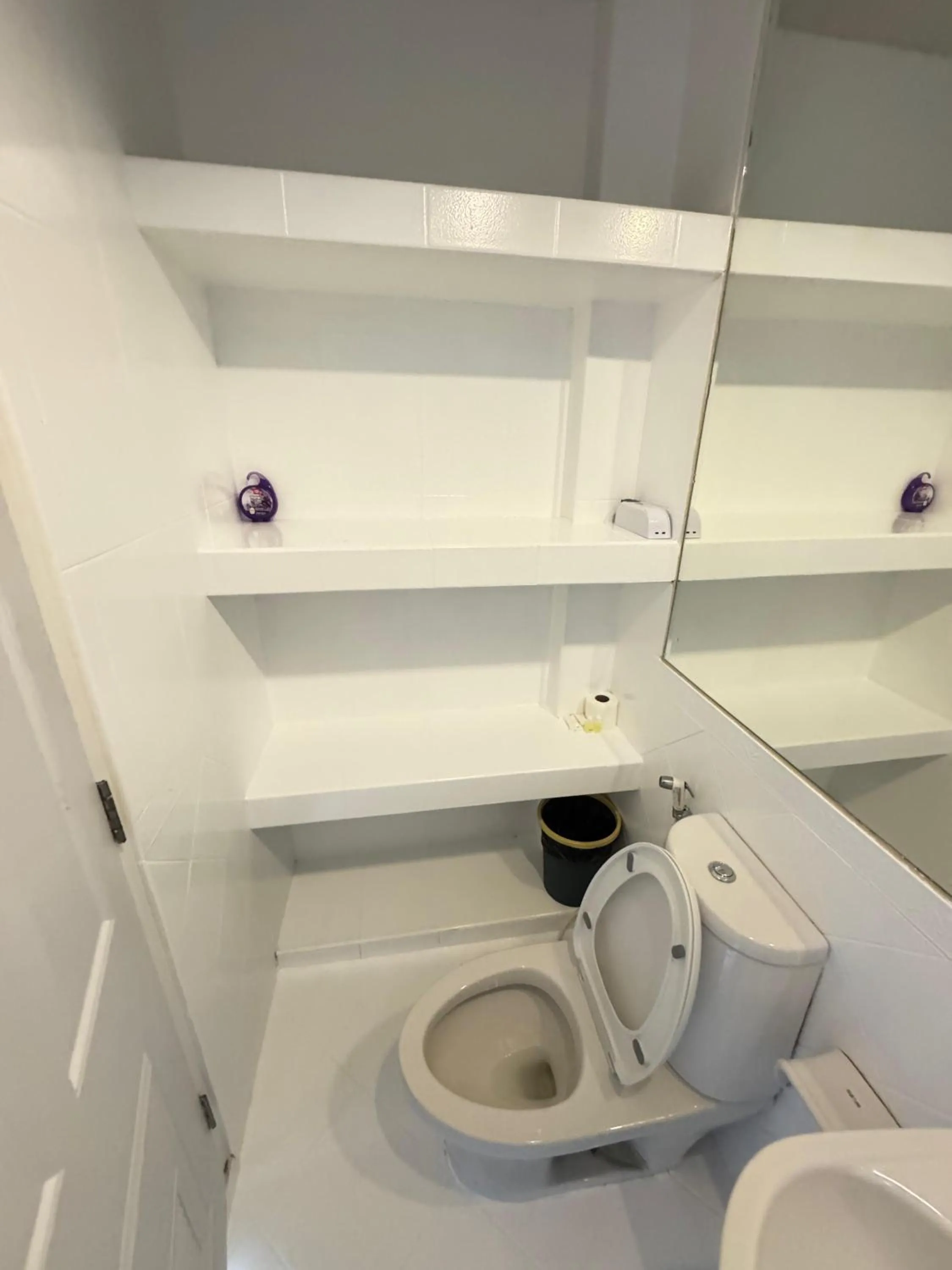 Toilet in Blue Horizon