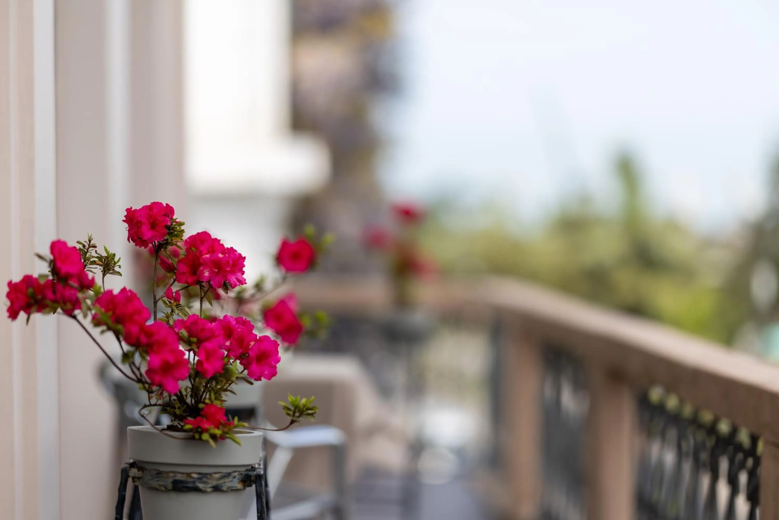 Spring in Acord Hotel & Balcony