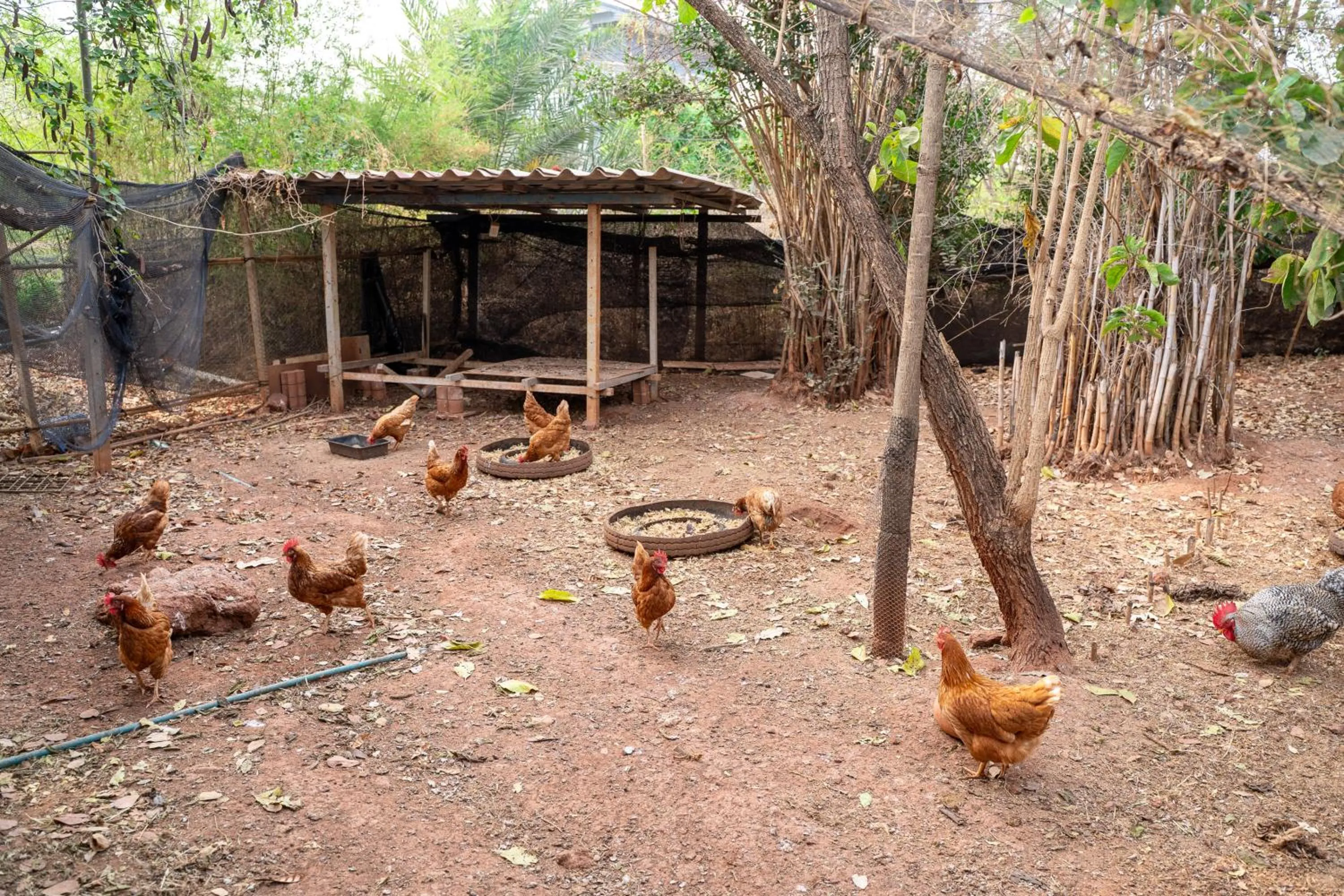 Day in Narucha Farmstay