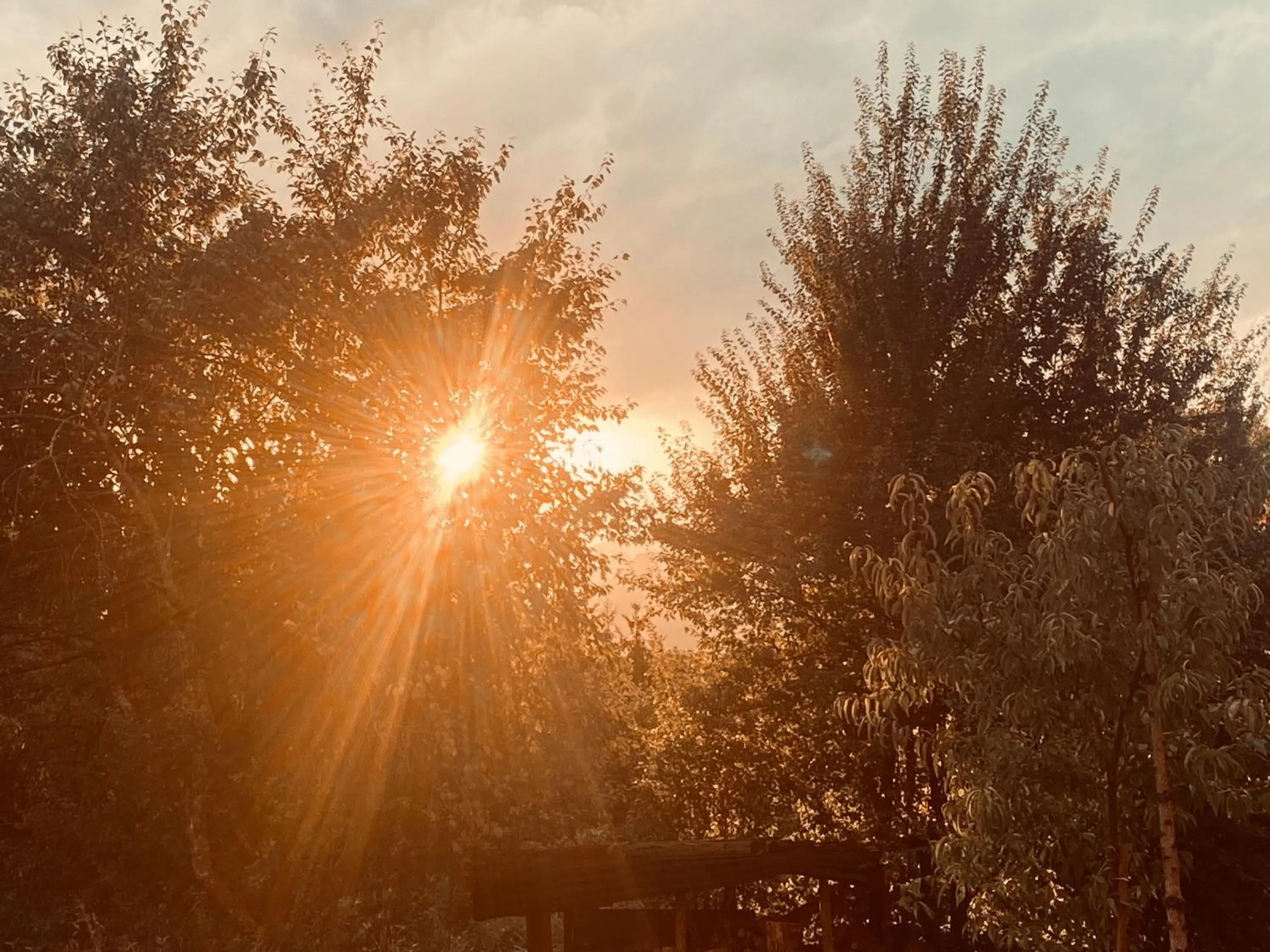 Staff in La Irmania Pension