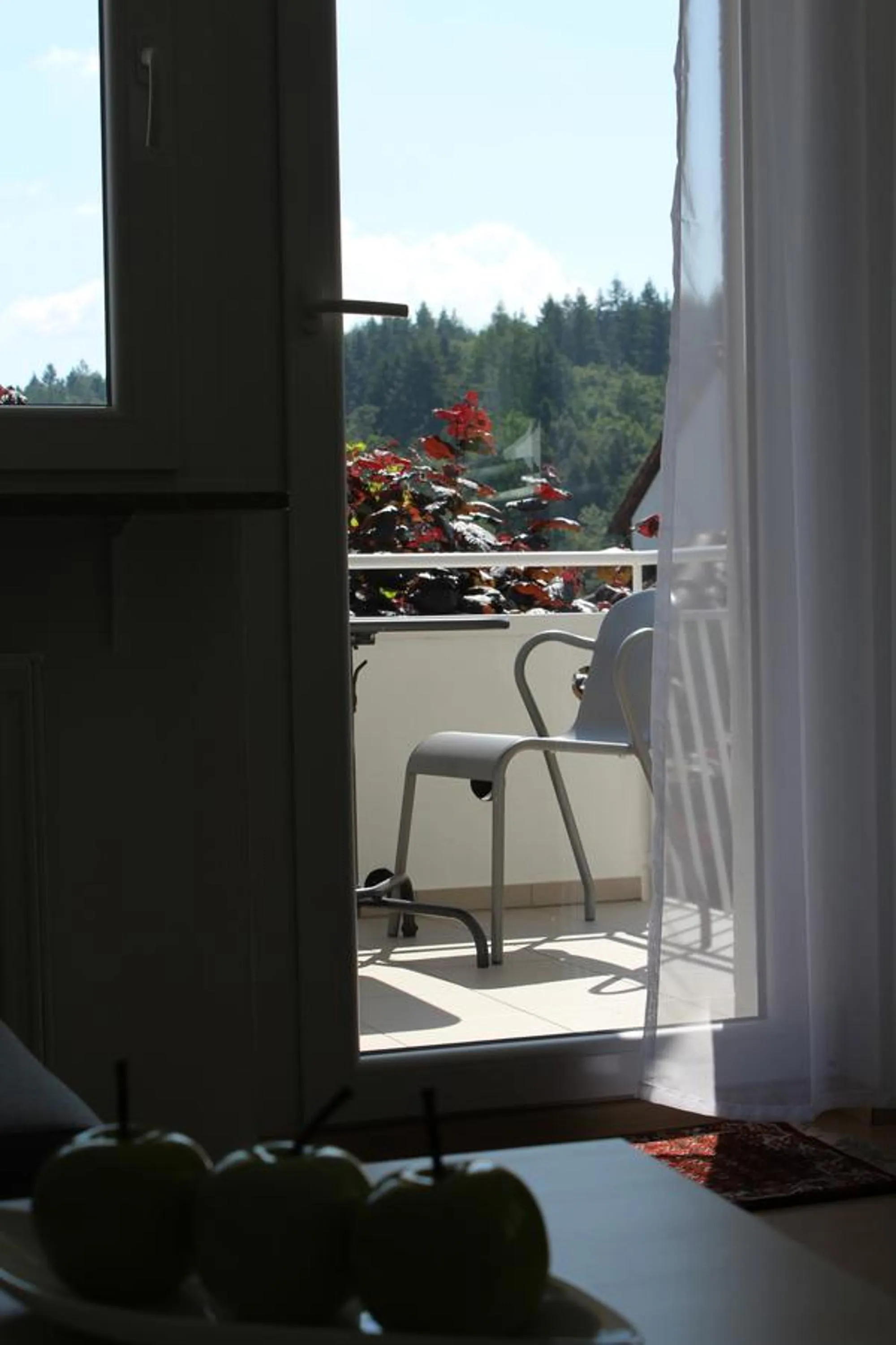 Balcony/Terrace in Gästewohnungen Enztal