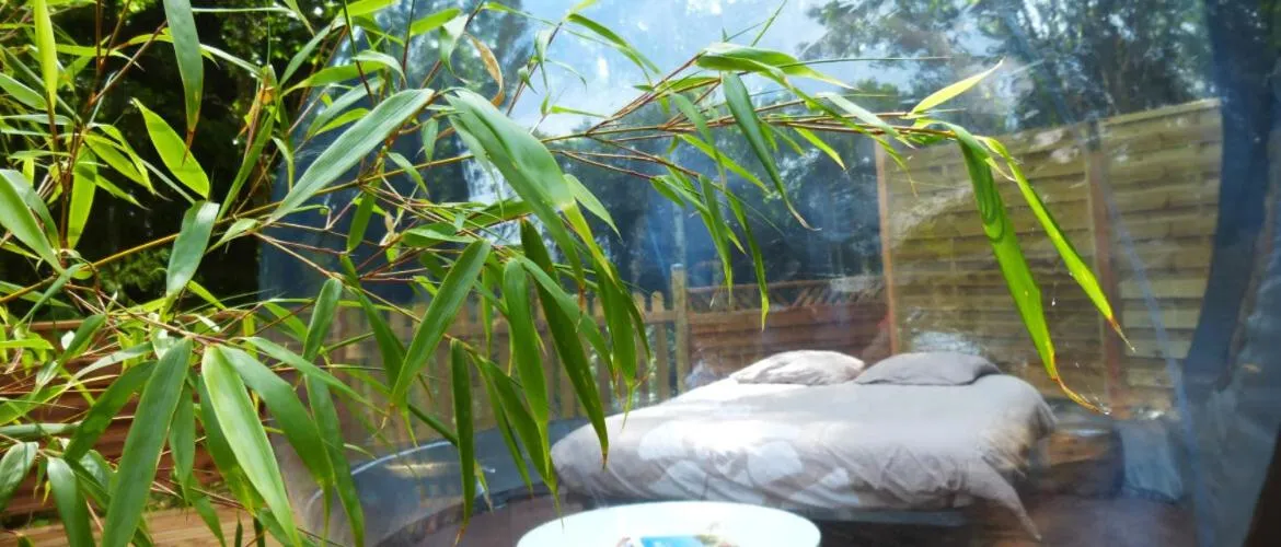 View (from property/room) in Bulle d'R