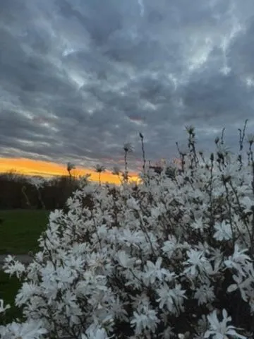 Country house Au Ballet des Hirondelles