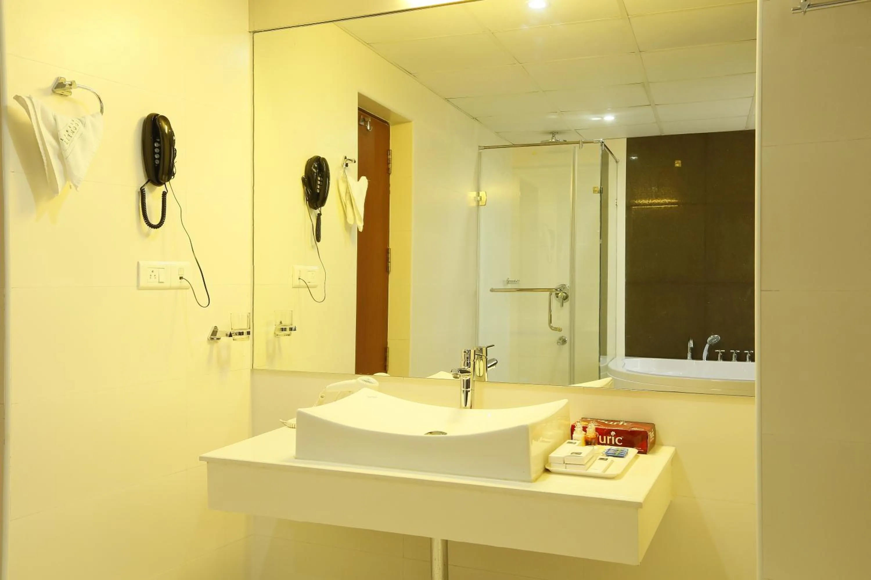 Bathroom in Hotel Moonlit Regency