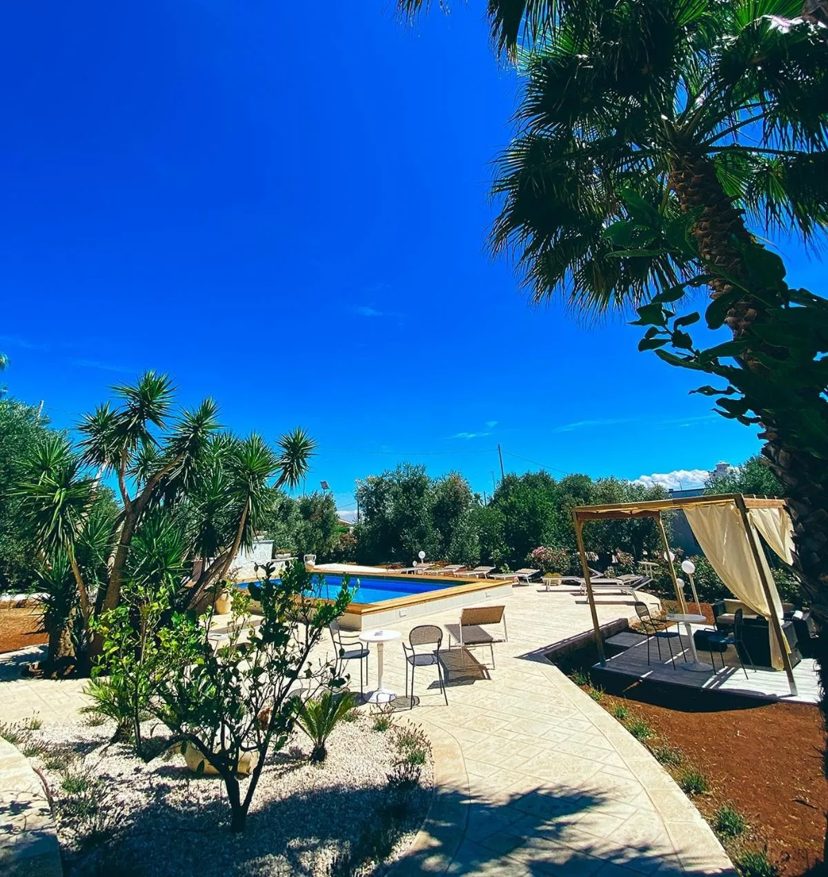 Swimming pool in La Maison One B&B