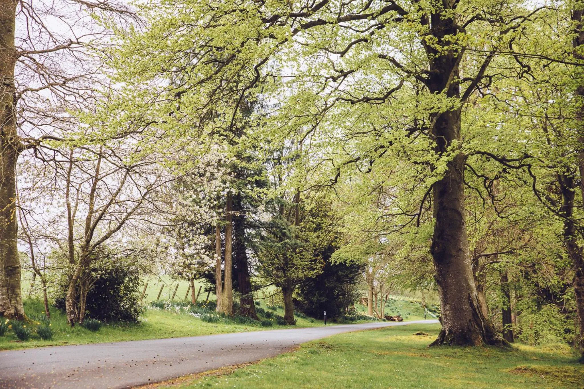 Area and facilities in Cornhill Castle