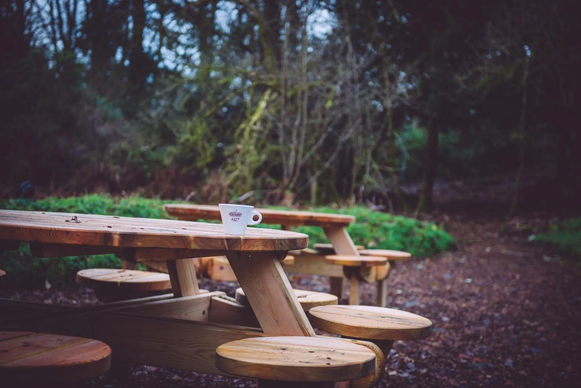 Area and facilities in Cornhill Castle