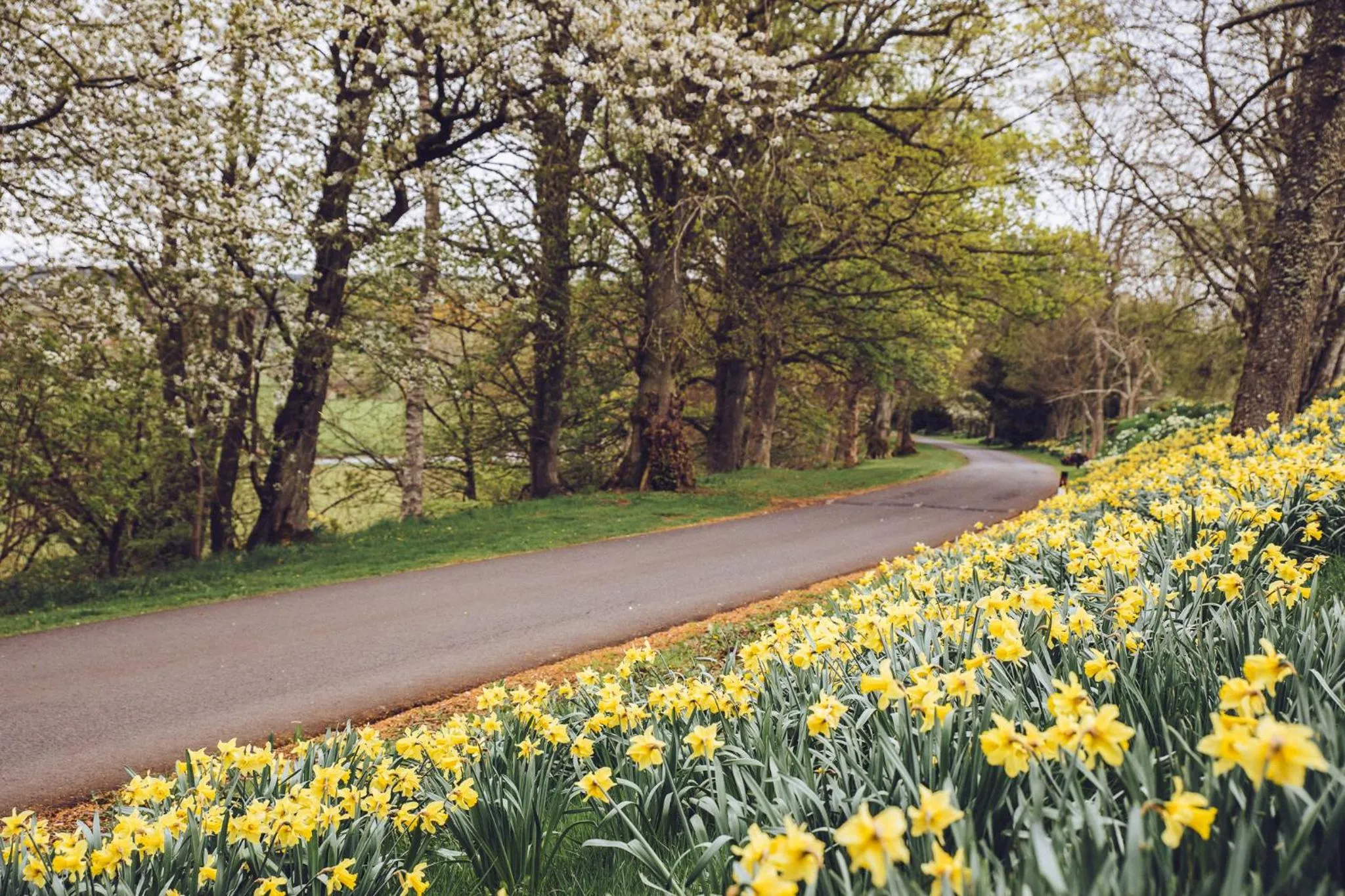 Garden in Cornhill Castle
