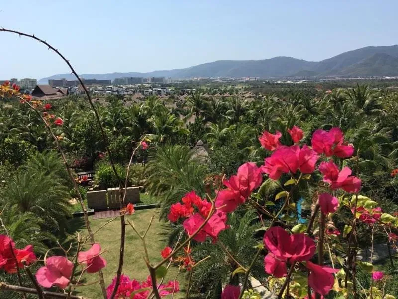Bird's eye view in Stony Brook Villa Jianguo Resort Sanya