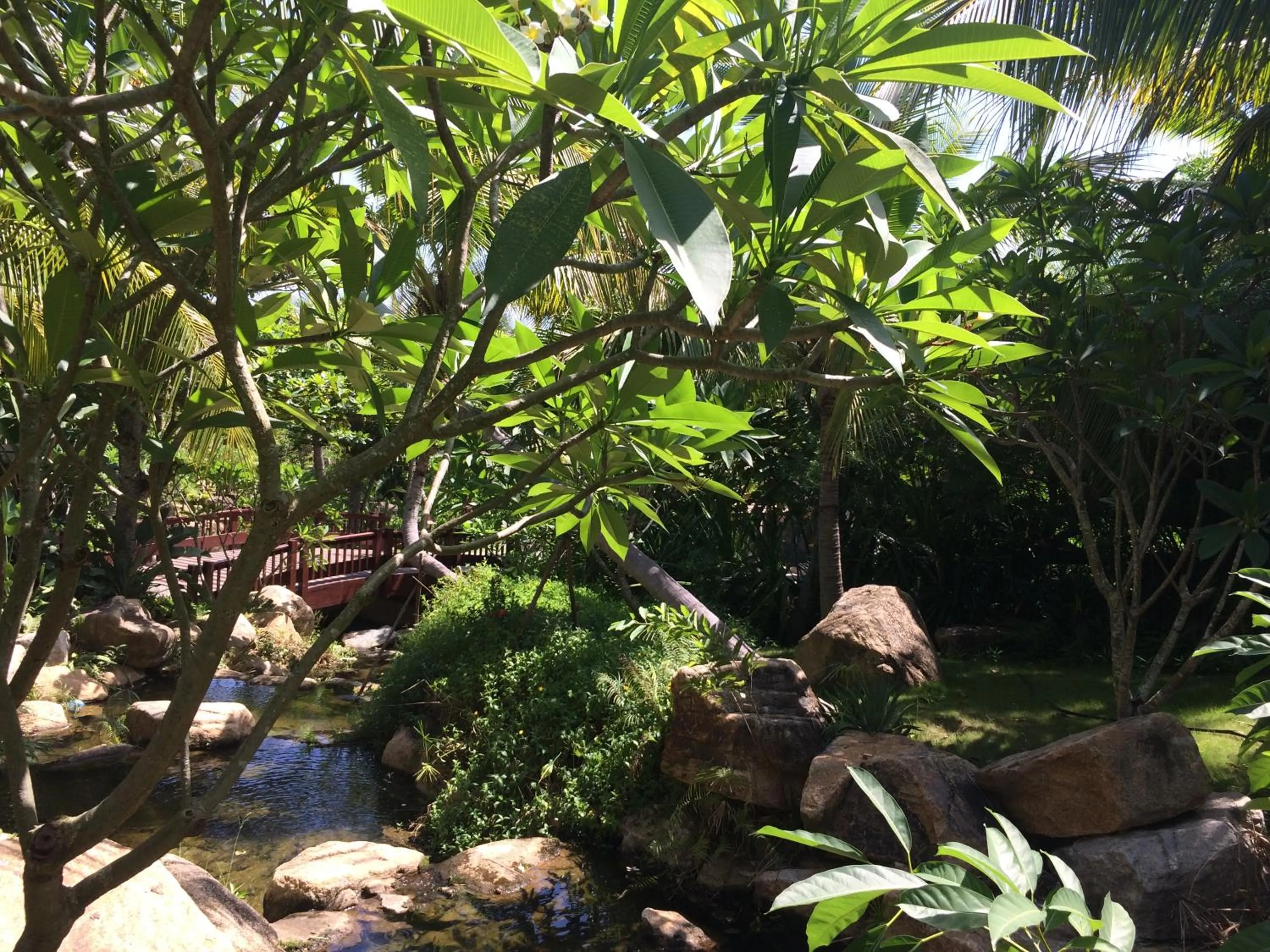 Garden in Stony Brook Villa Jianguo Resort Sanya