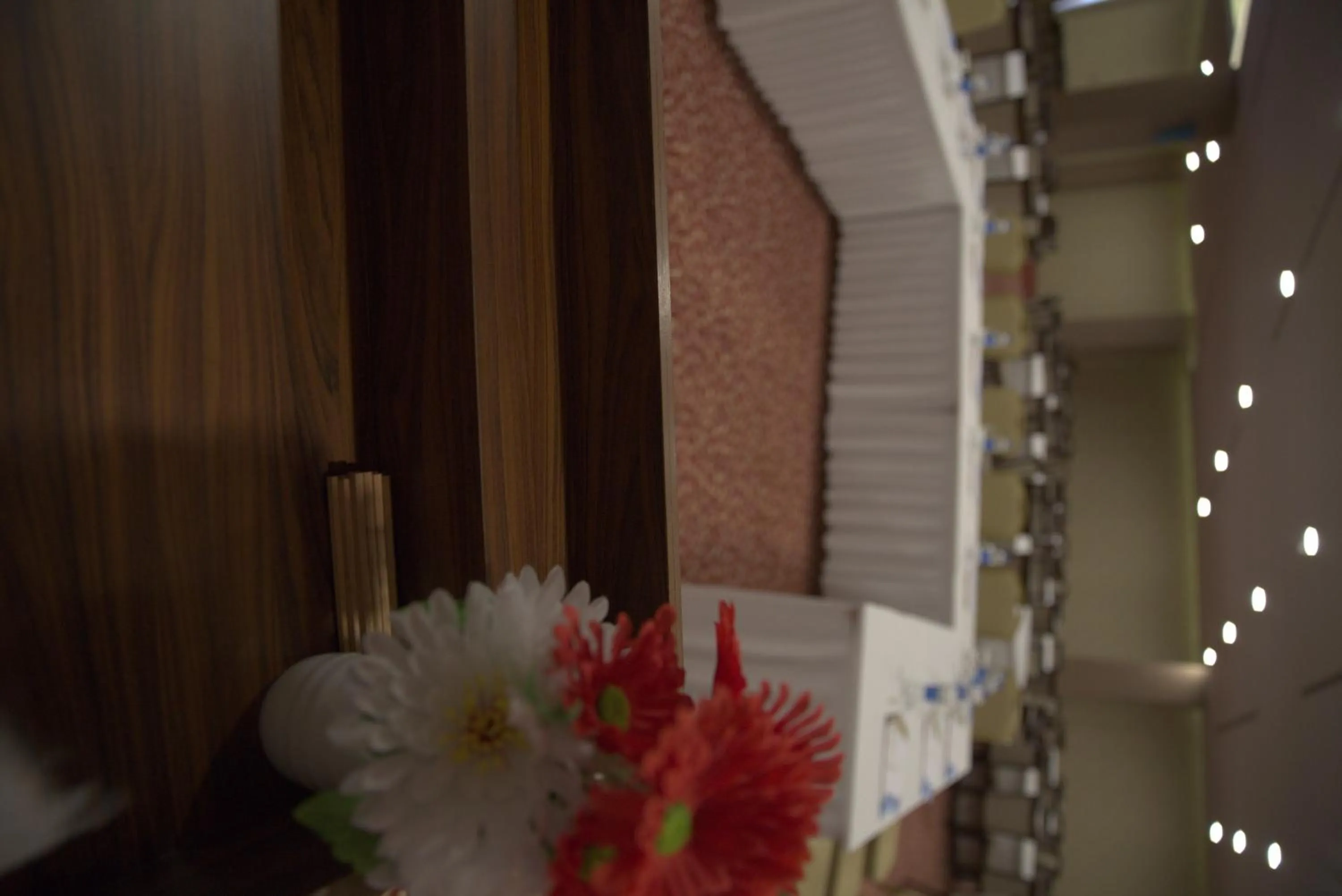 Meeting/conference room in Safa Sorgun Thermal Hotel