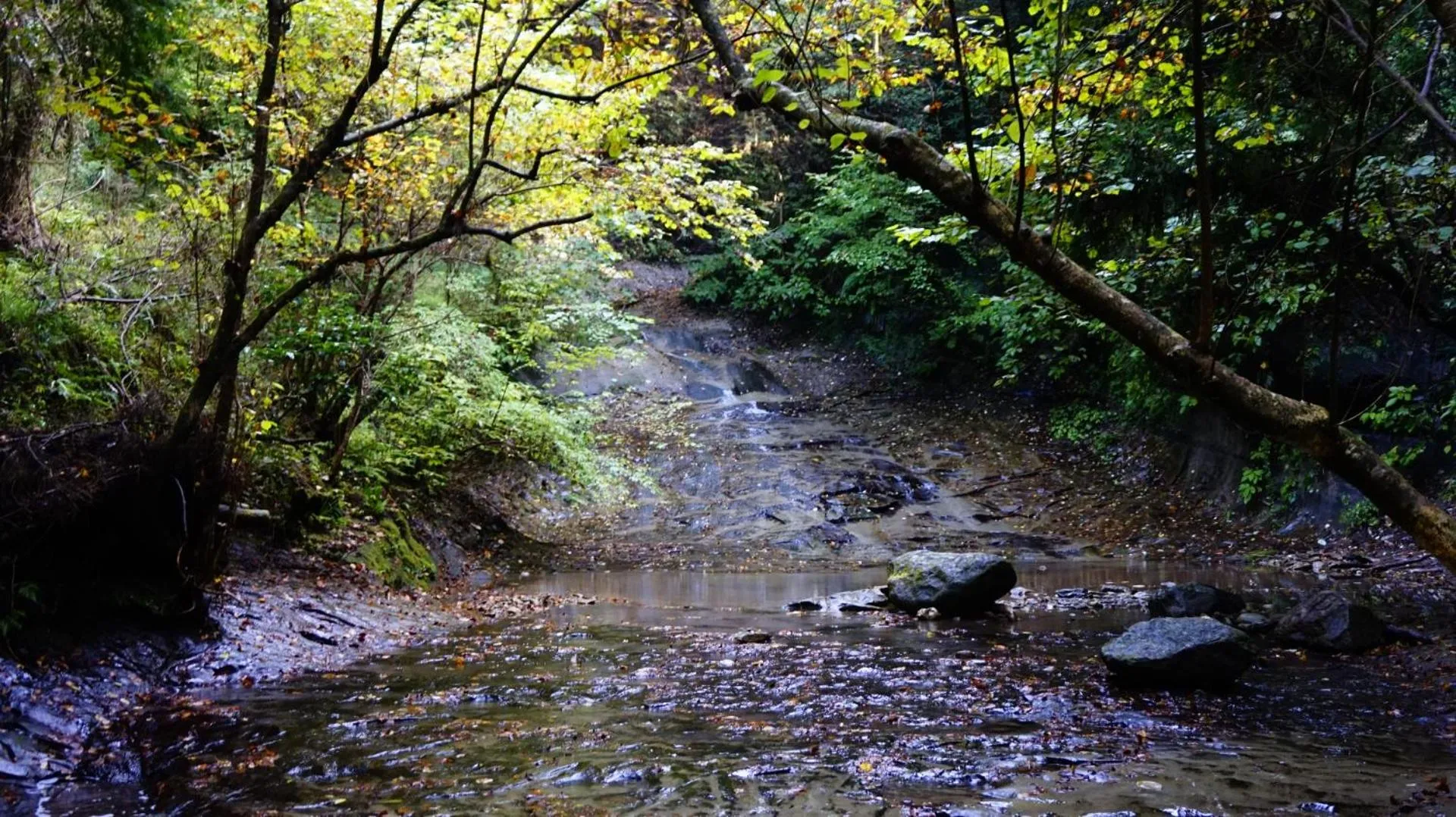 Nearby landmark in Hotel Crown Hills GOI