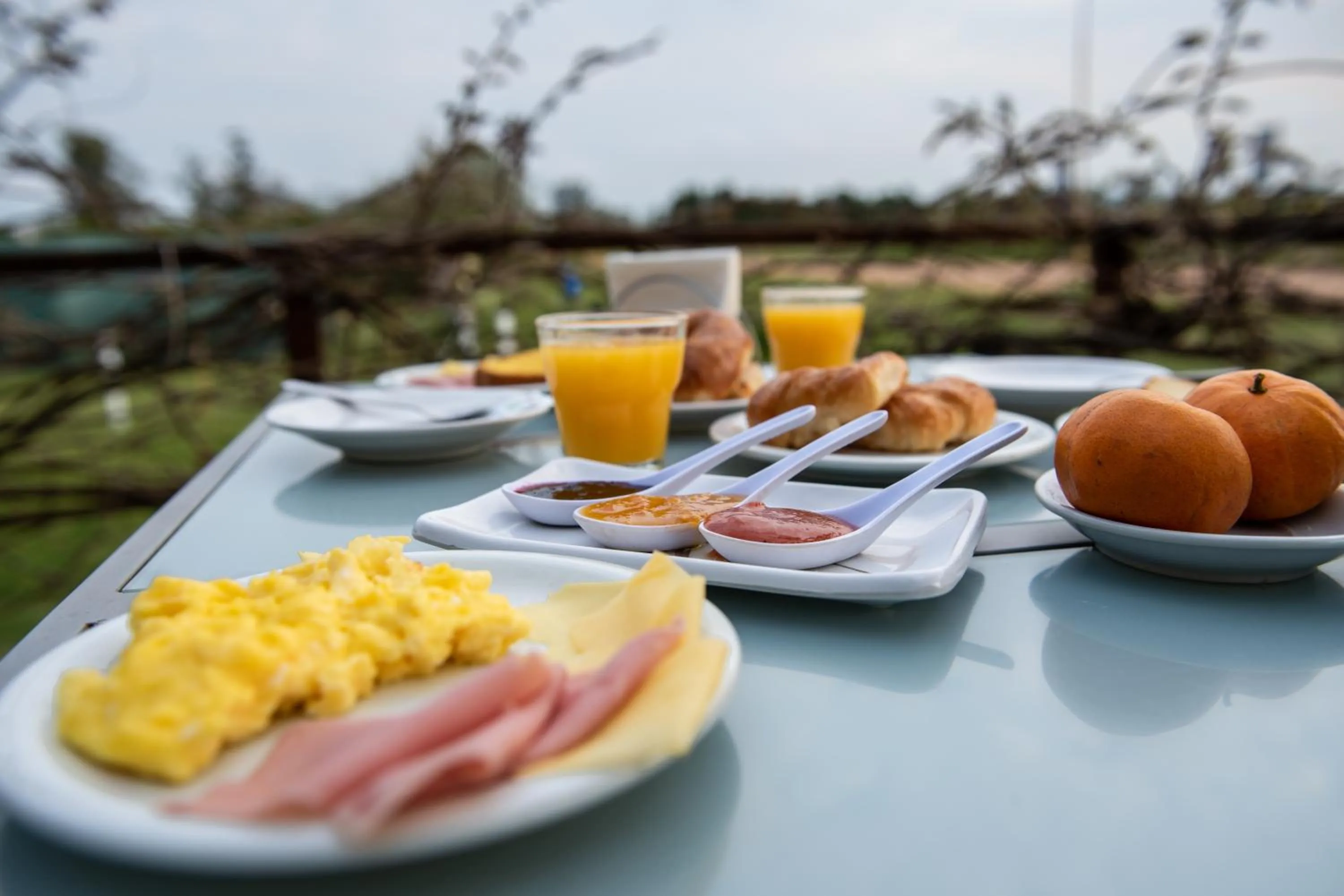 Hotel y Spa Termas del Este