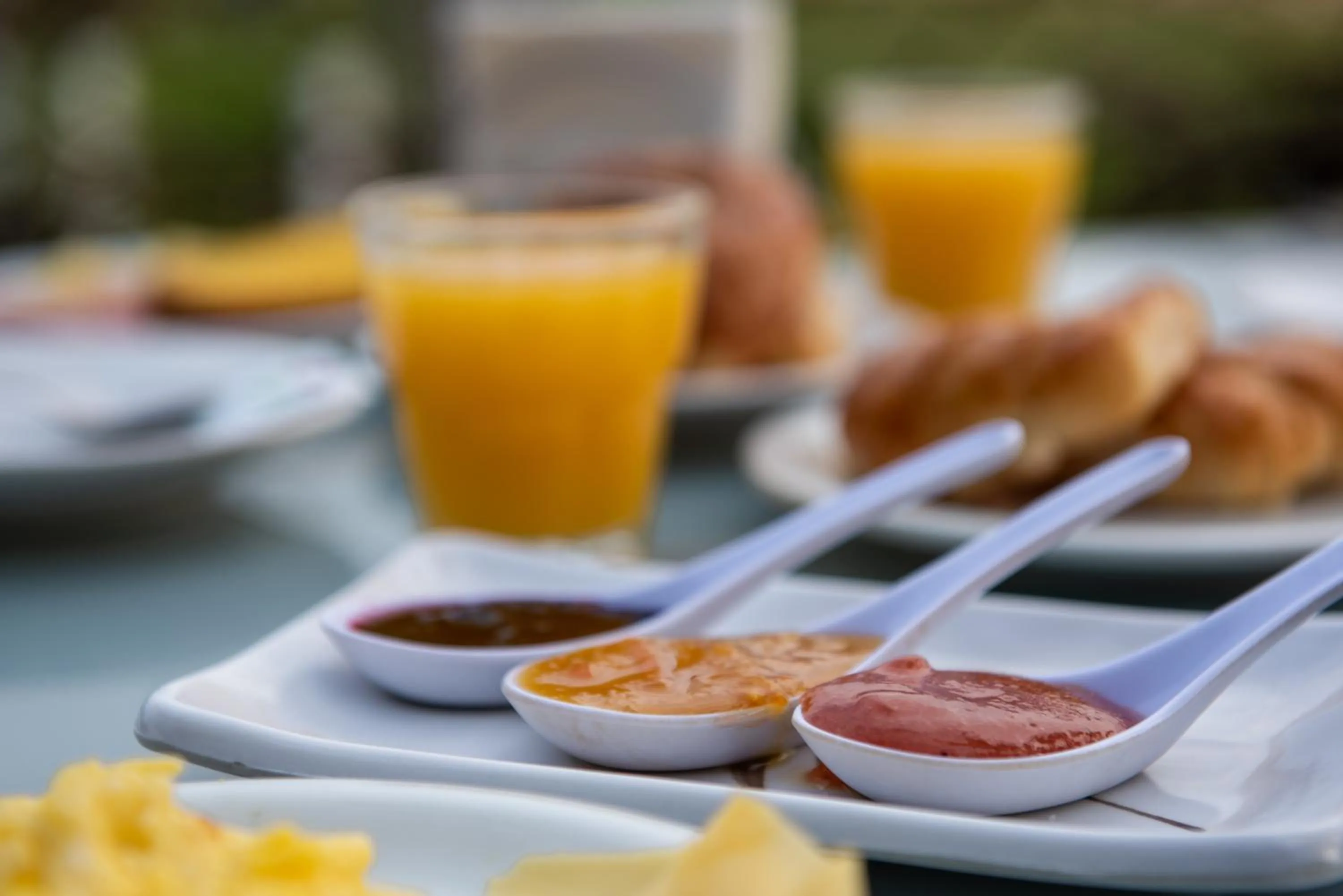 Hotel y Spa Termas del Este