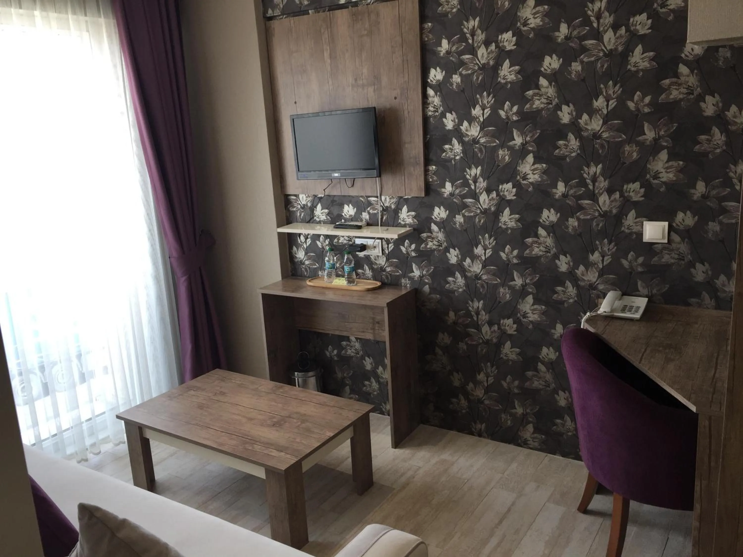 TV and multimedia in Udi Hotel