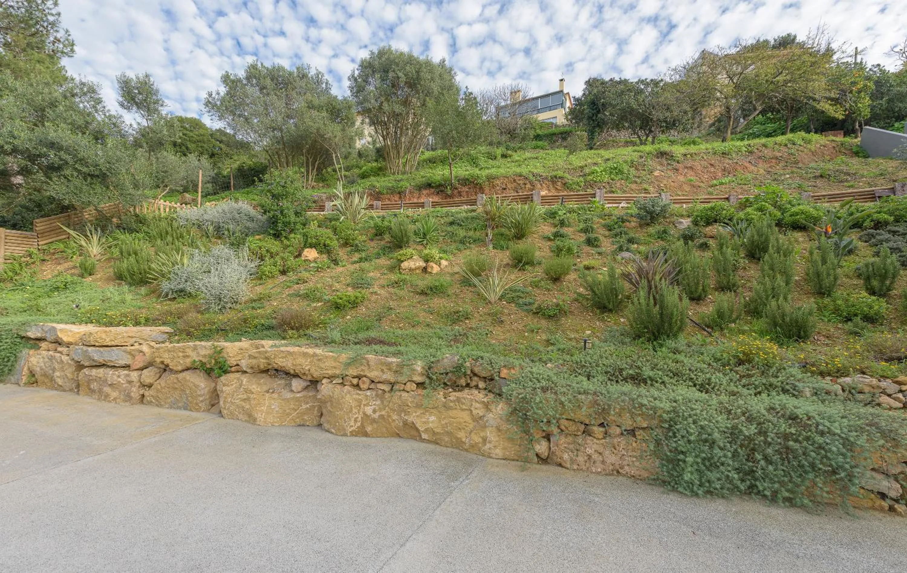 Garden in Estoril Village Guest House