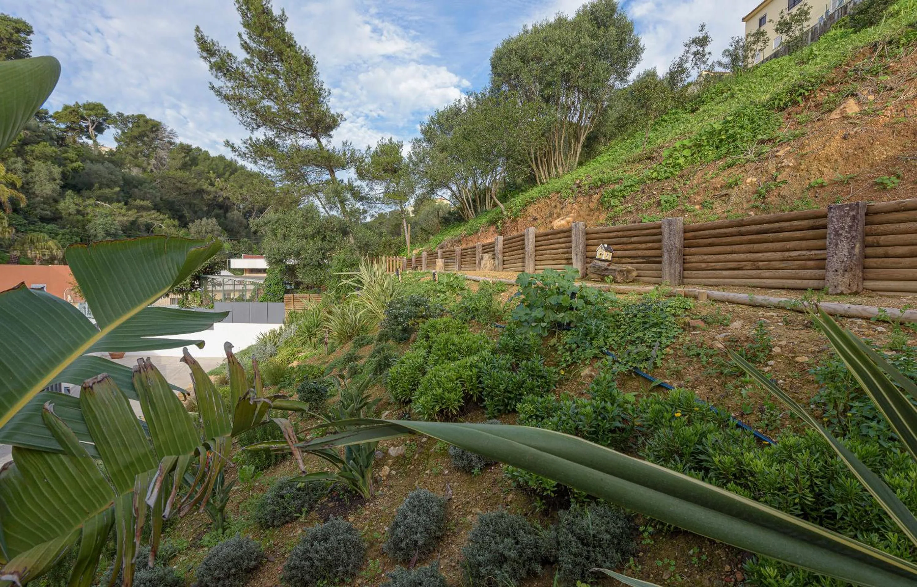 Natural landscape in Estoril Village Guest House