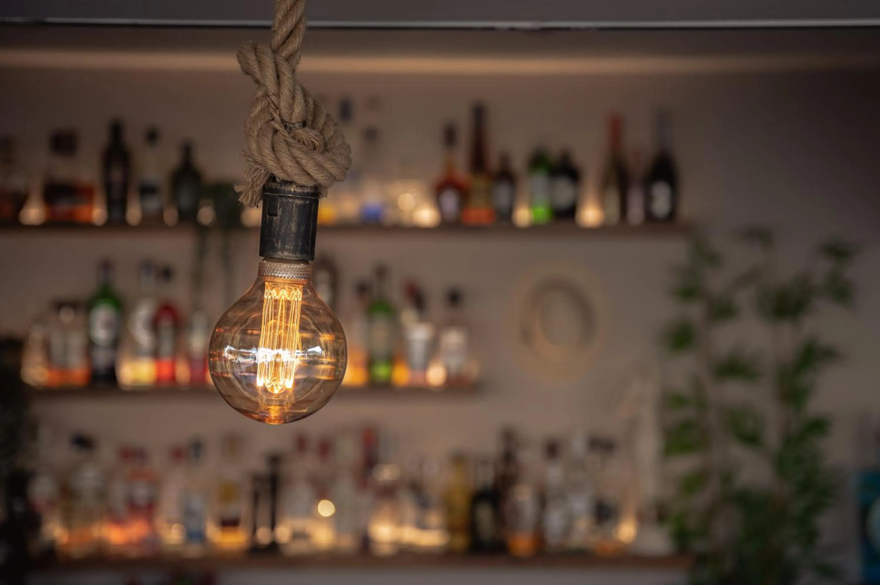 Lounge or bar in Vice Hotel