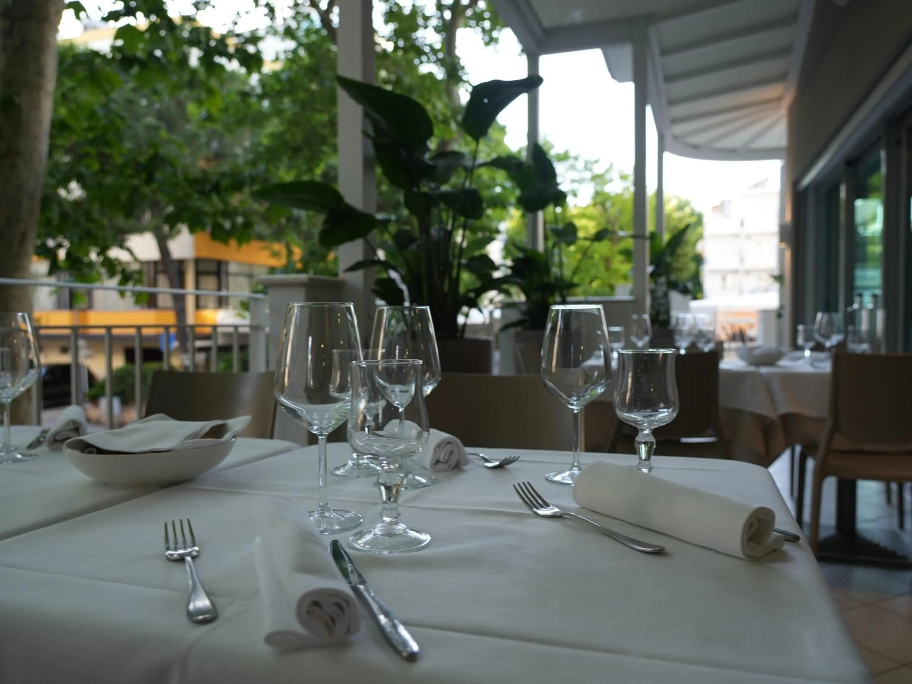 Patio in Hotel Regal