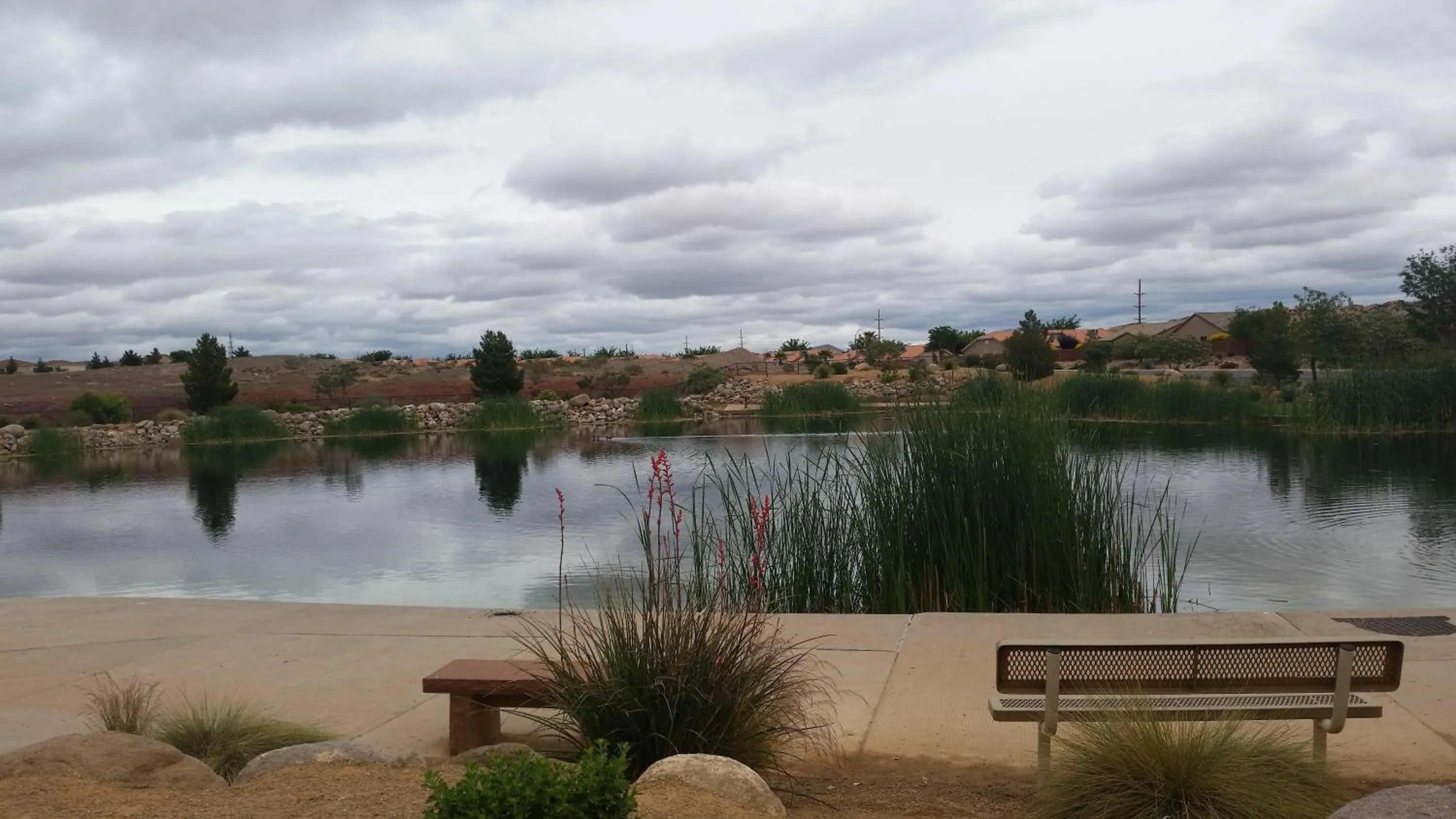 Natural landscape in Canyon Villas at Coral Ridge