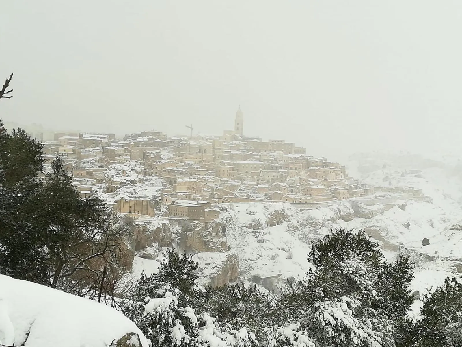 Il Cucù Bed and Breakfast