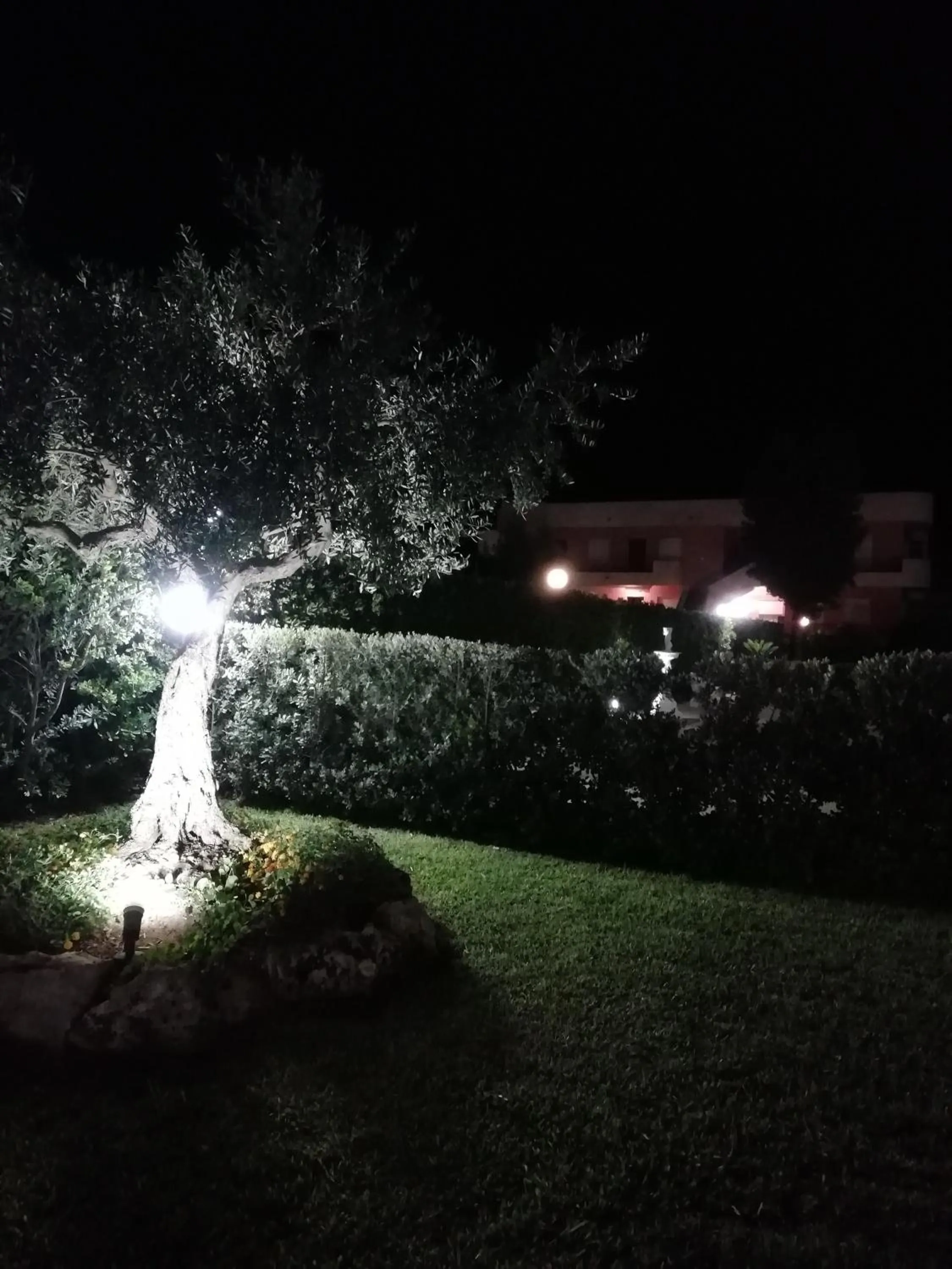 Garden in Stella di Mare Appartamenti