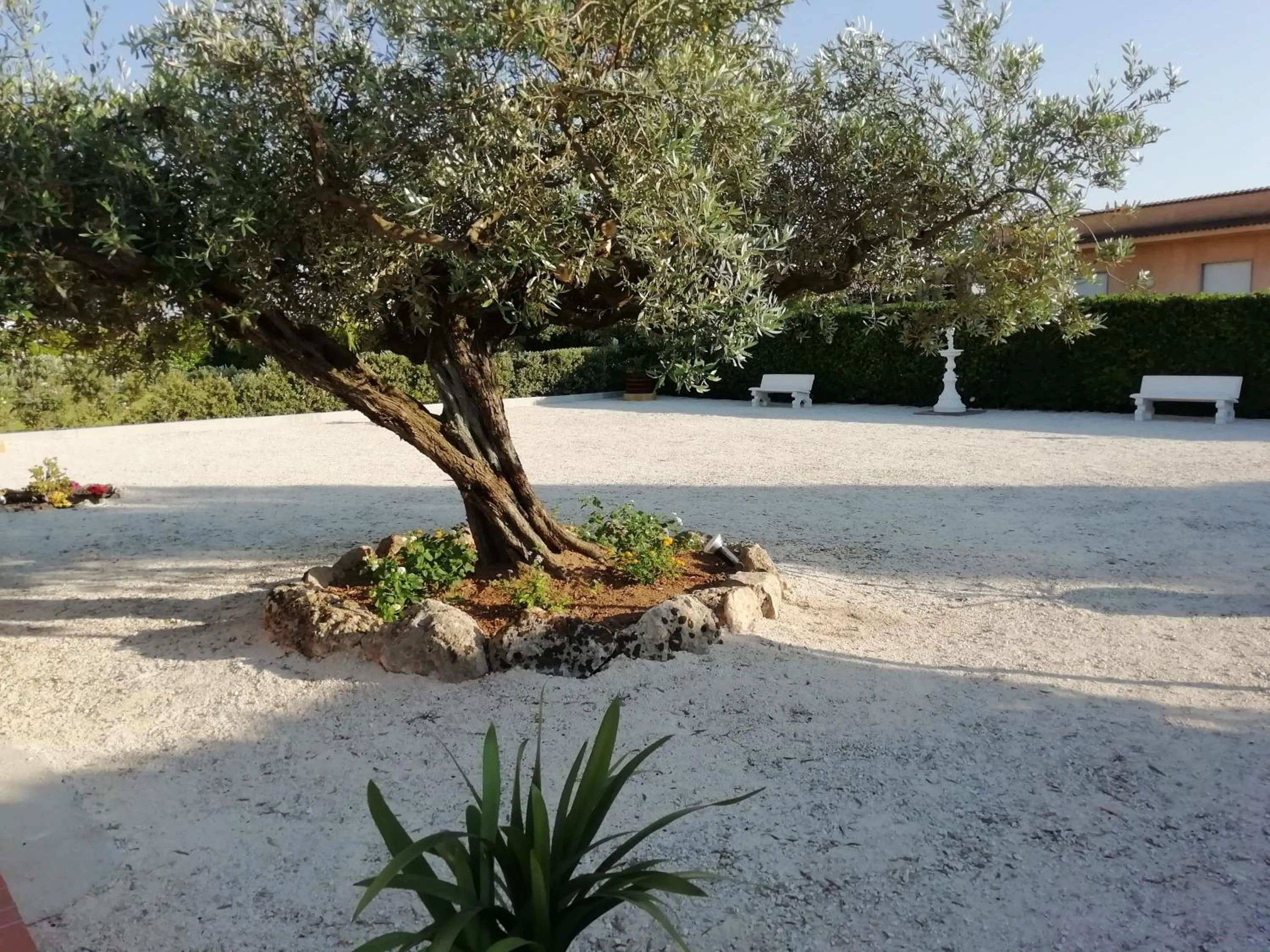 Decorative detail in Stella di Mare Appartamenti