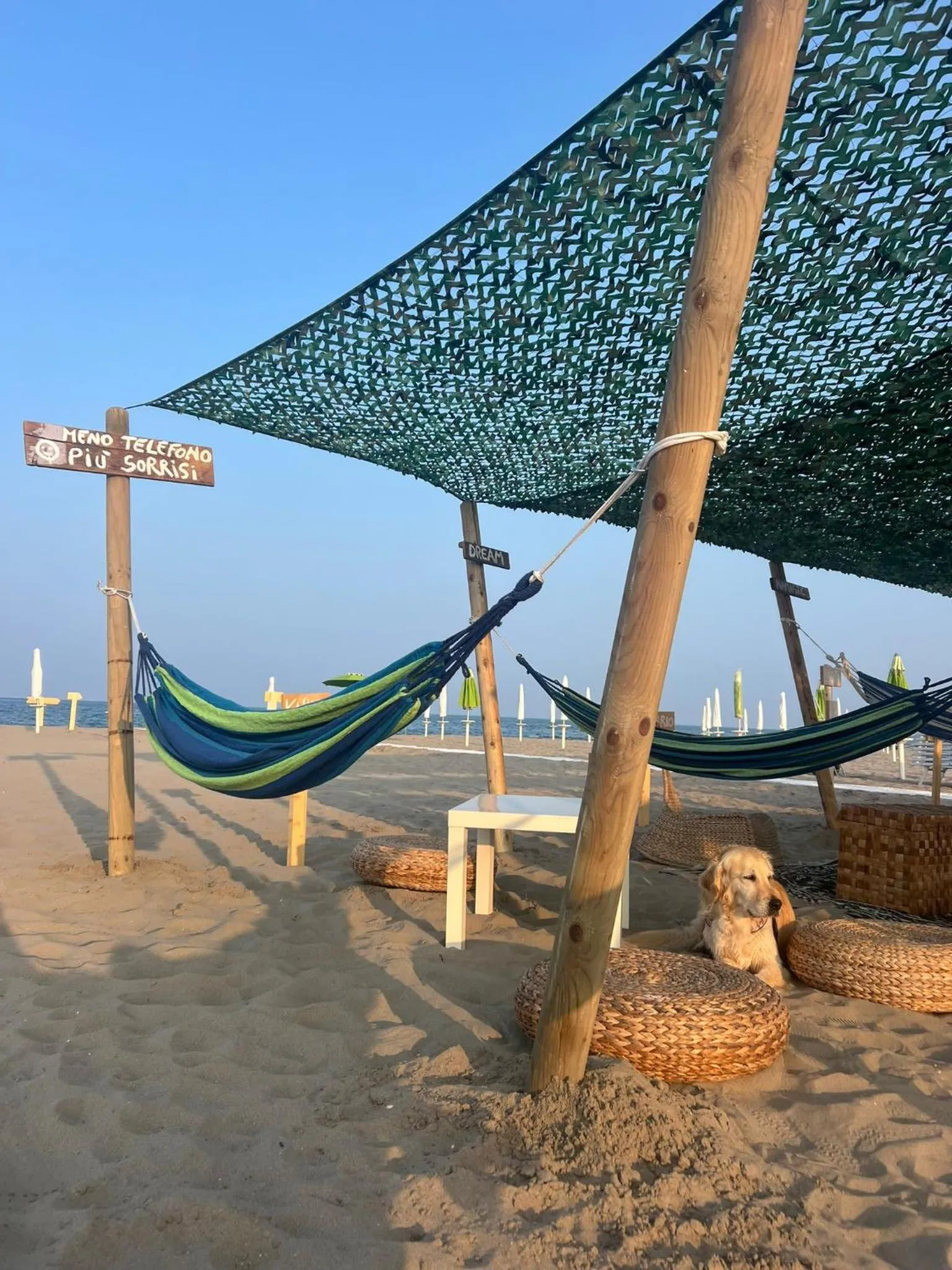 Lounge or bar in Camping Grande Italia