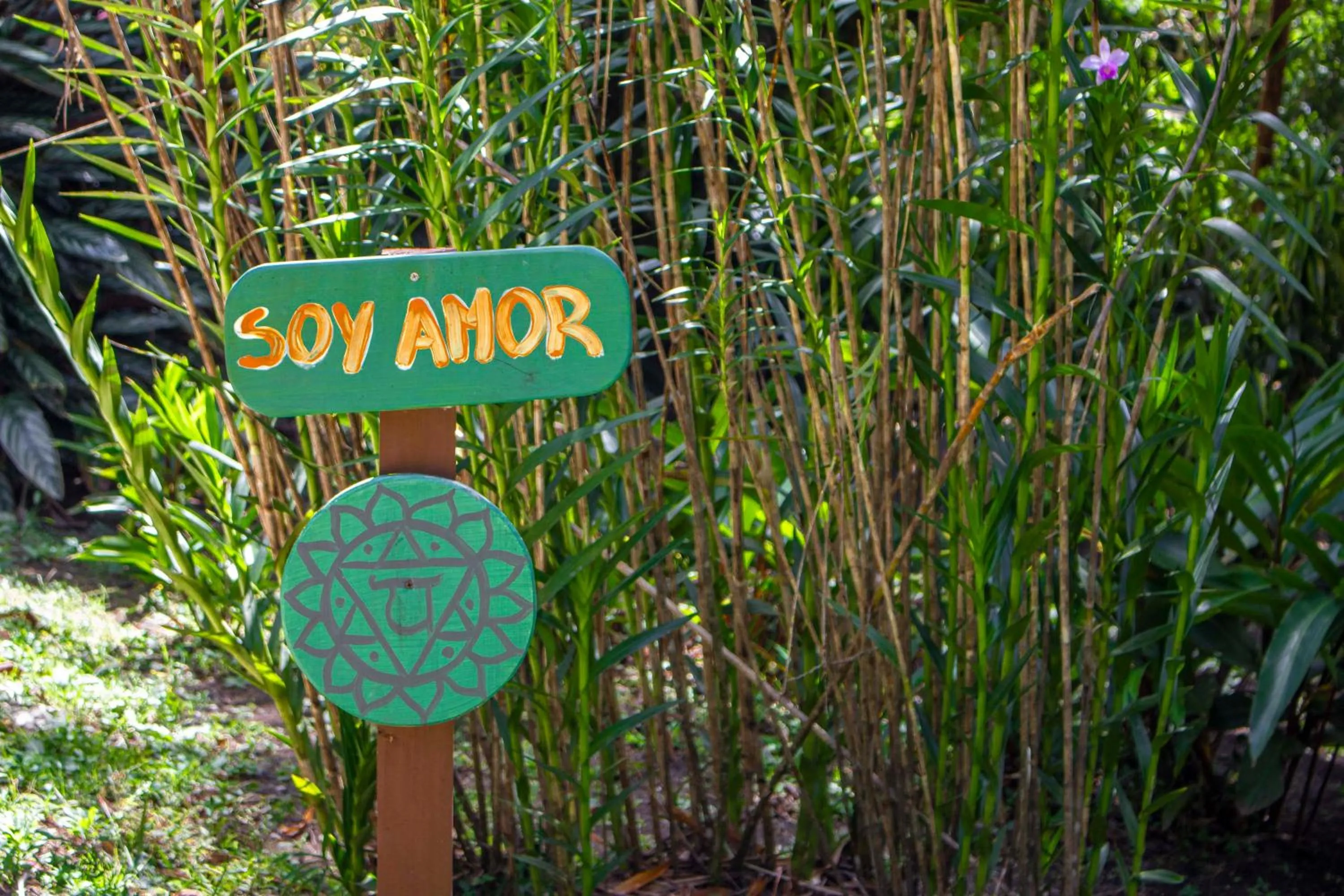 Garden in Hotel Holístico Monteverde