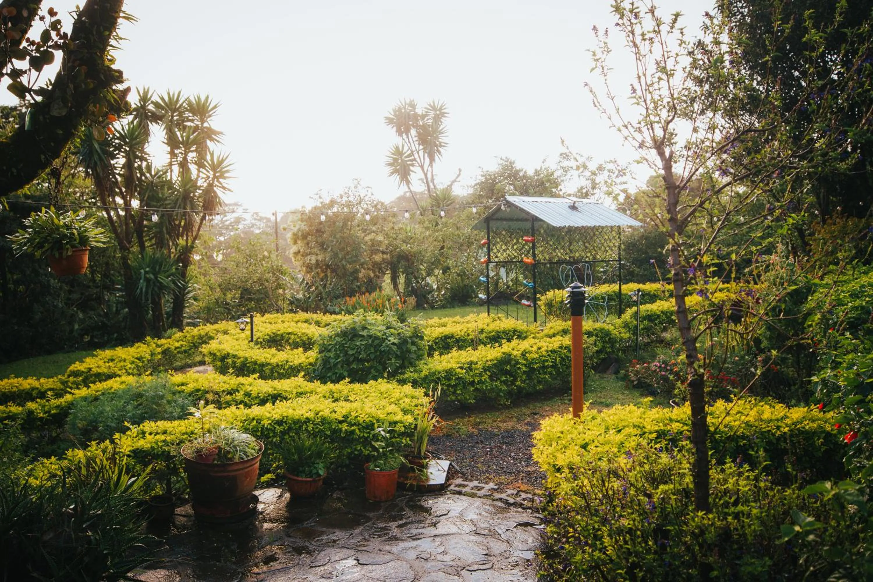 Patio in Hotel Holístico Monteverde