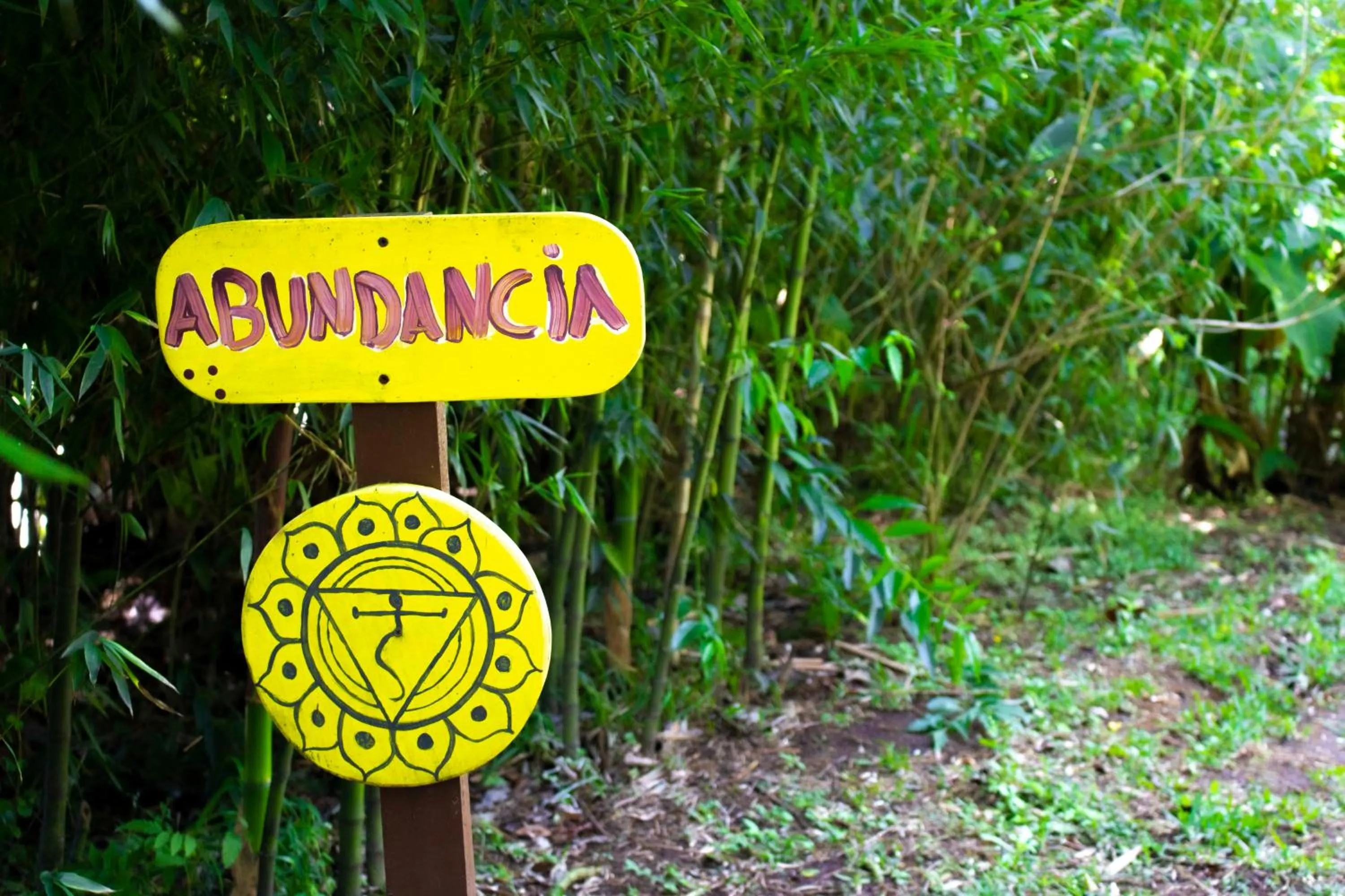 Garden in Hotel Holístico Monteverde