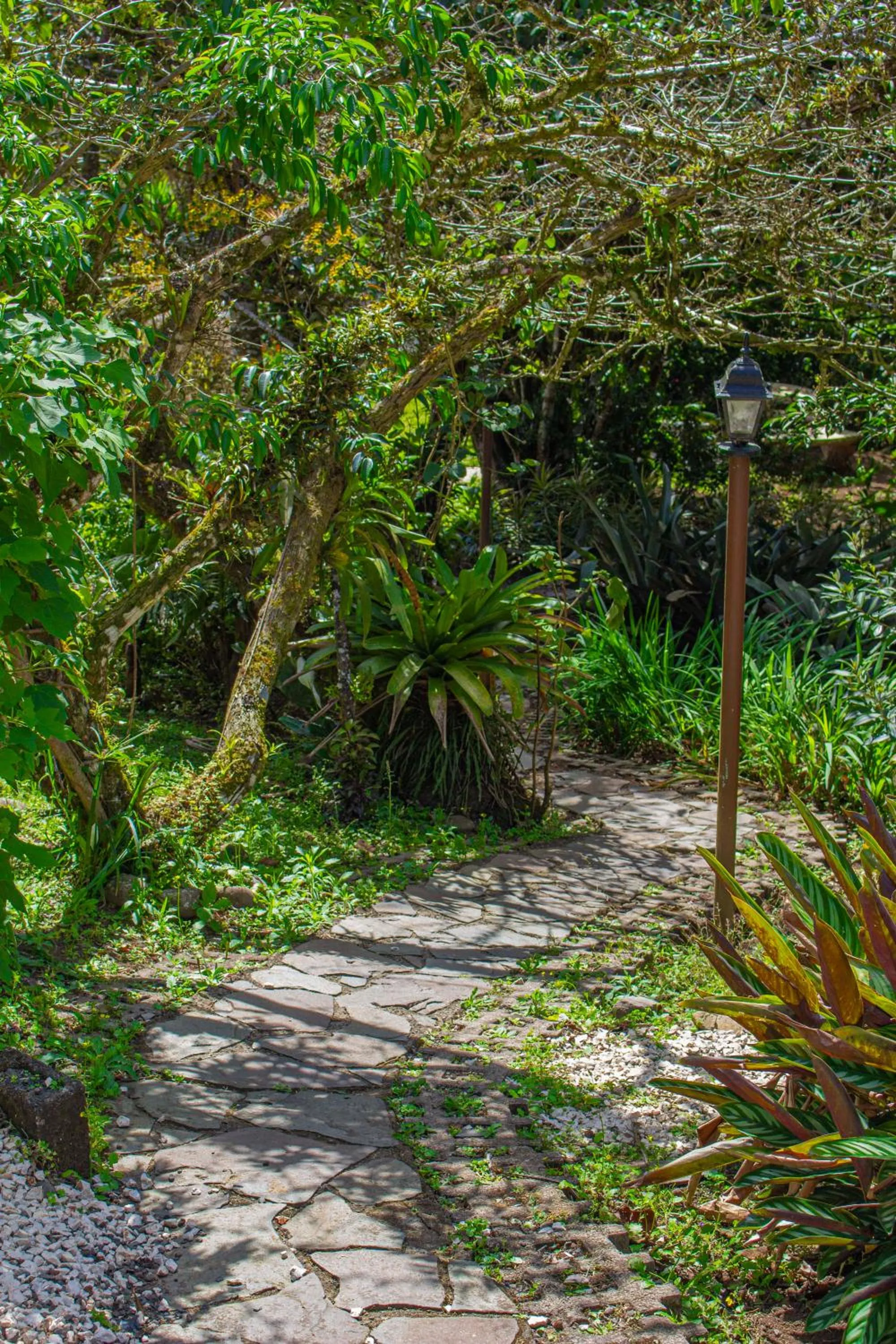 Garden in Hotel Holístico Monteverde