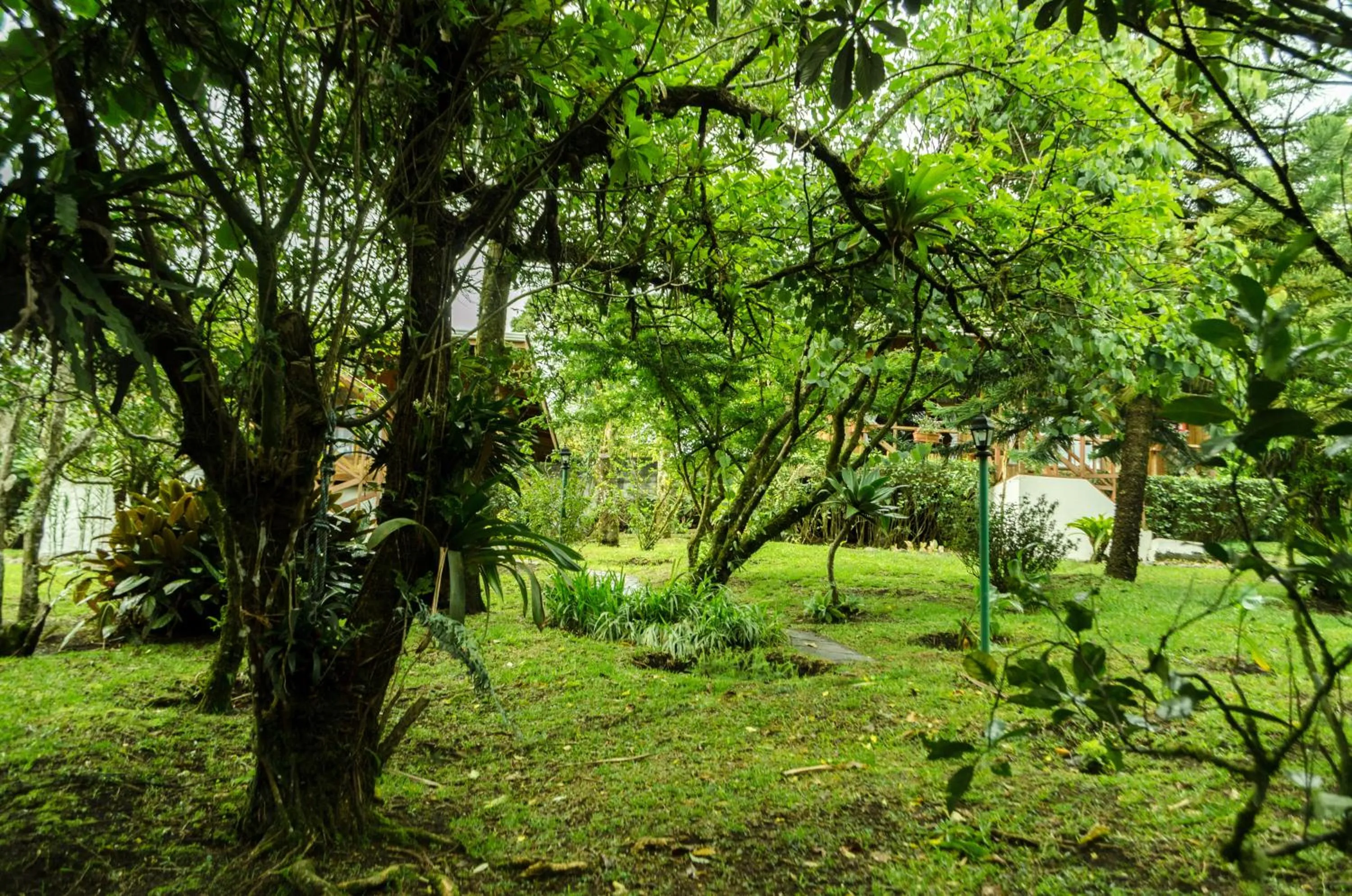 Natural landscape in Hotel Holístico Monteverde
