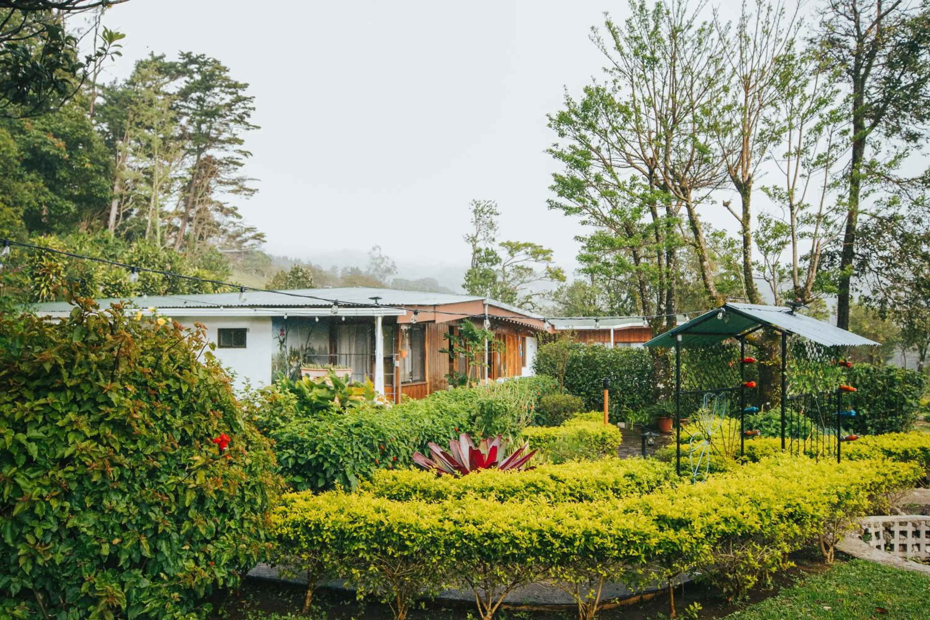Property building in Hotel Holístico Monteverde