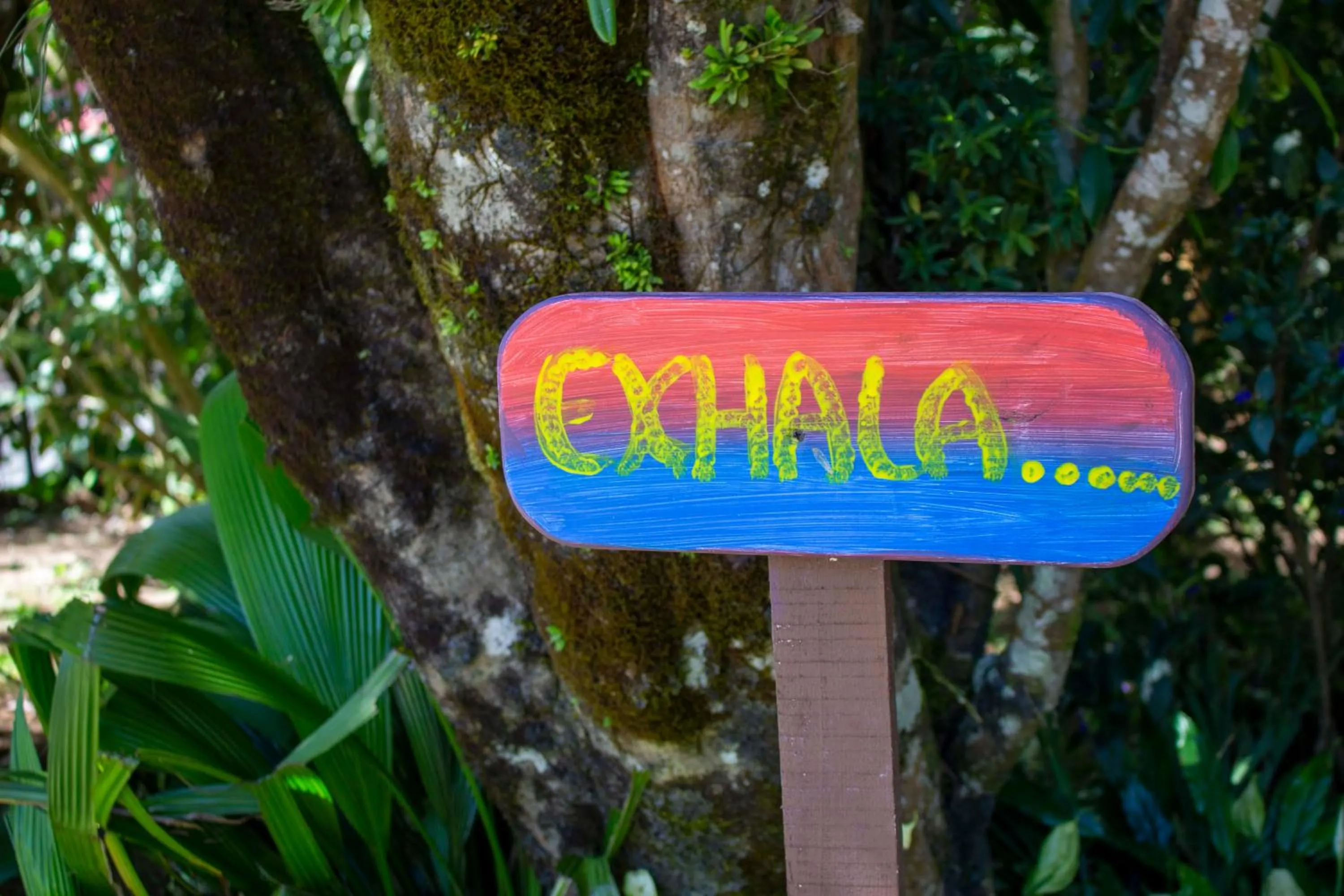 Garden in Hotel Holístico Monteverde