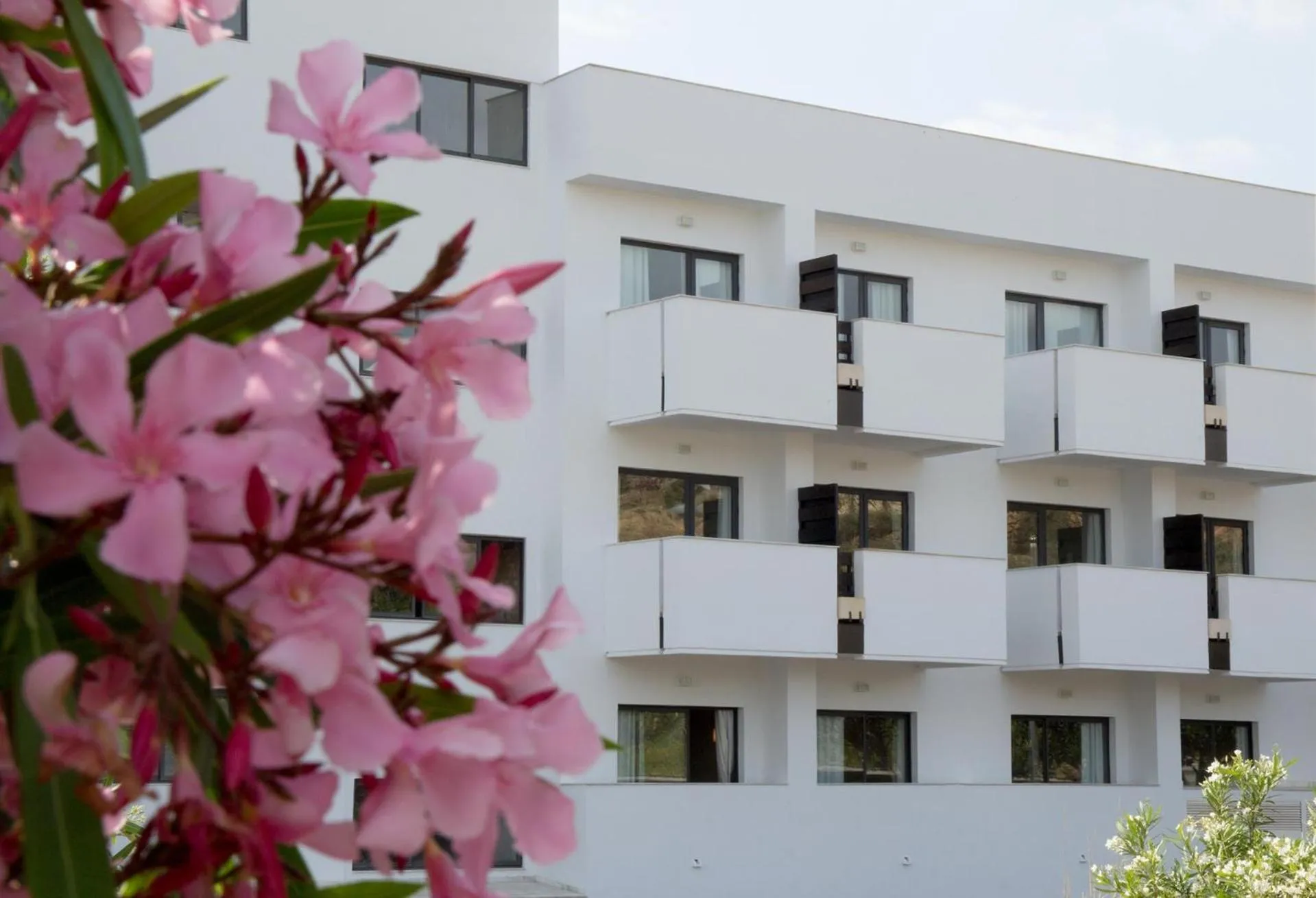 Property building in ALEGRIA Palacio Mojacar & Spa - Adults Only