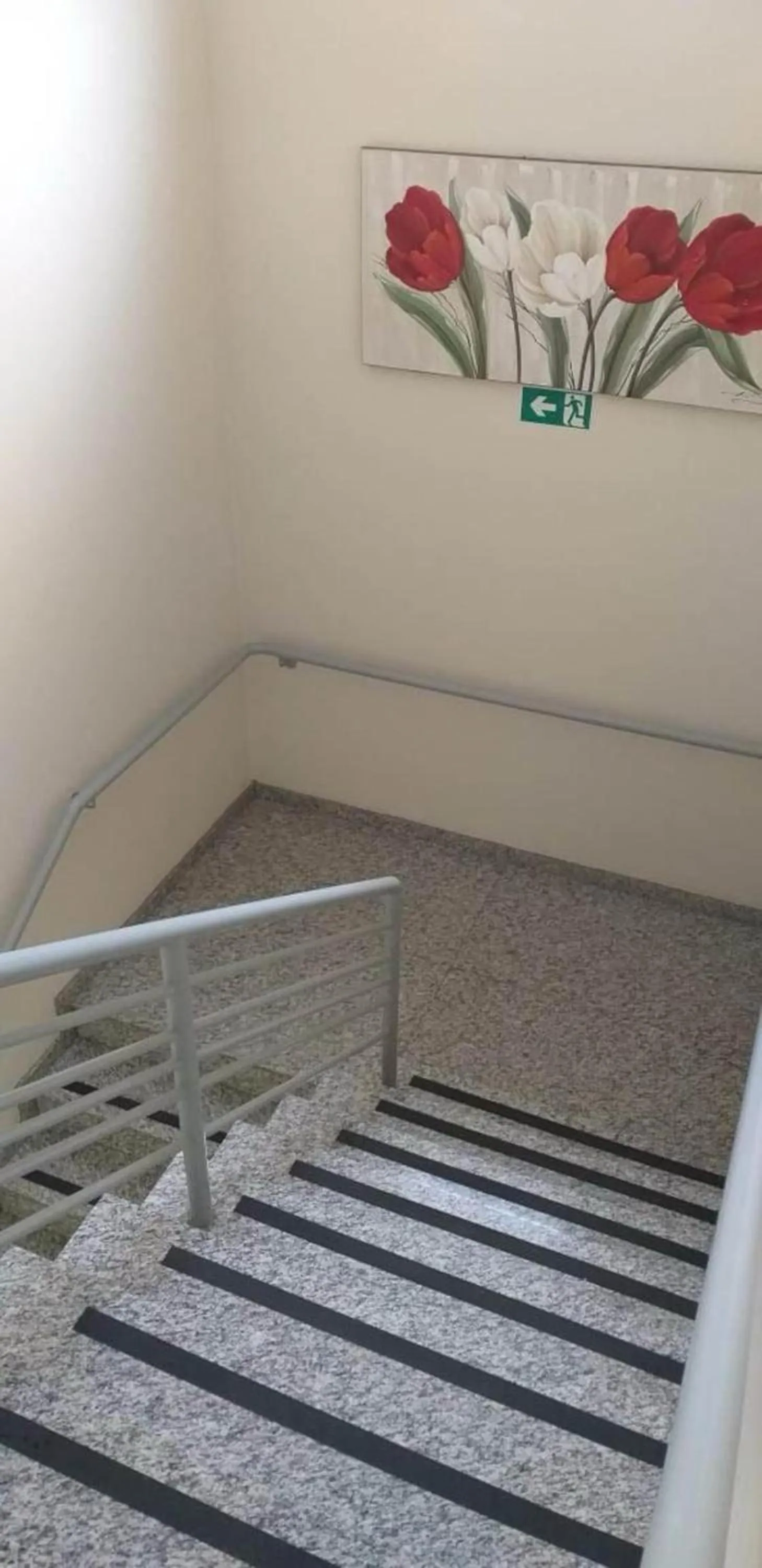 Area and facilities in Hotel Graal Inn Queluz