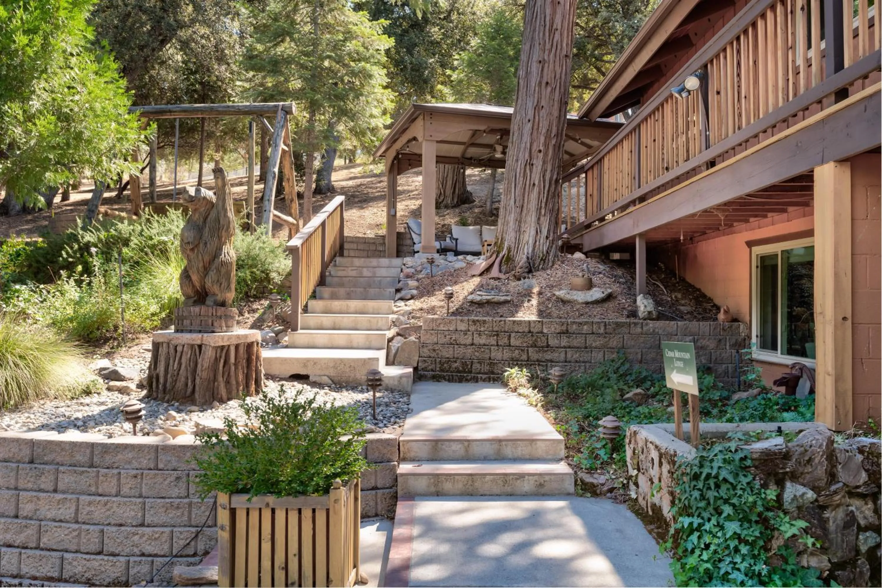 Cedar Mountain Lodge