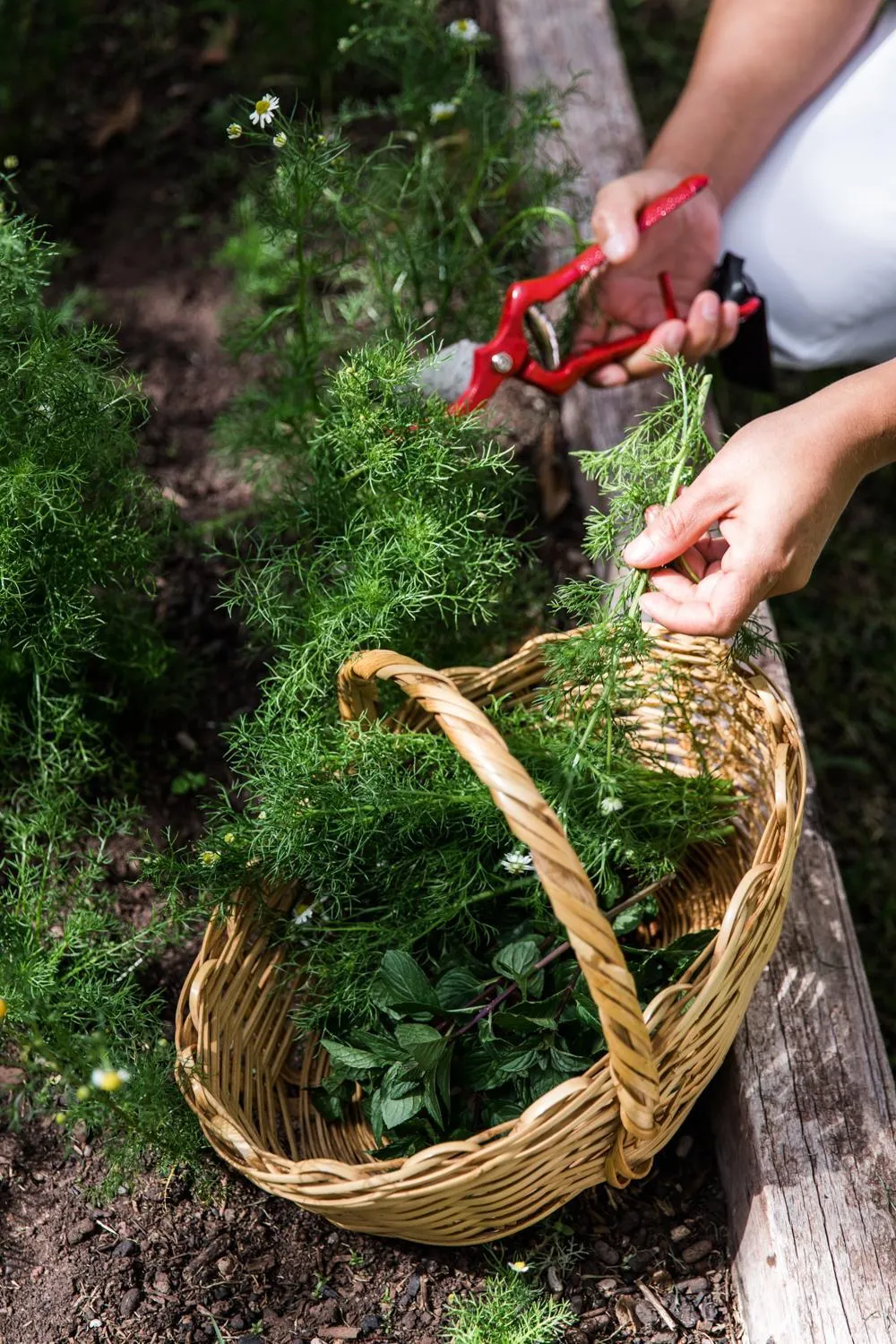 Spa and wellness centre/facilities in Inkaterra Hacienda Urubamba