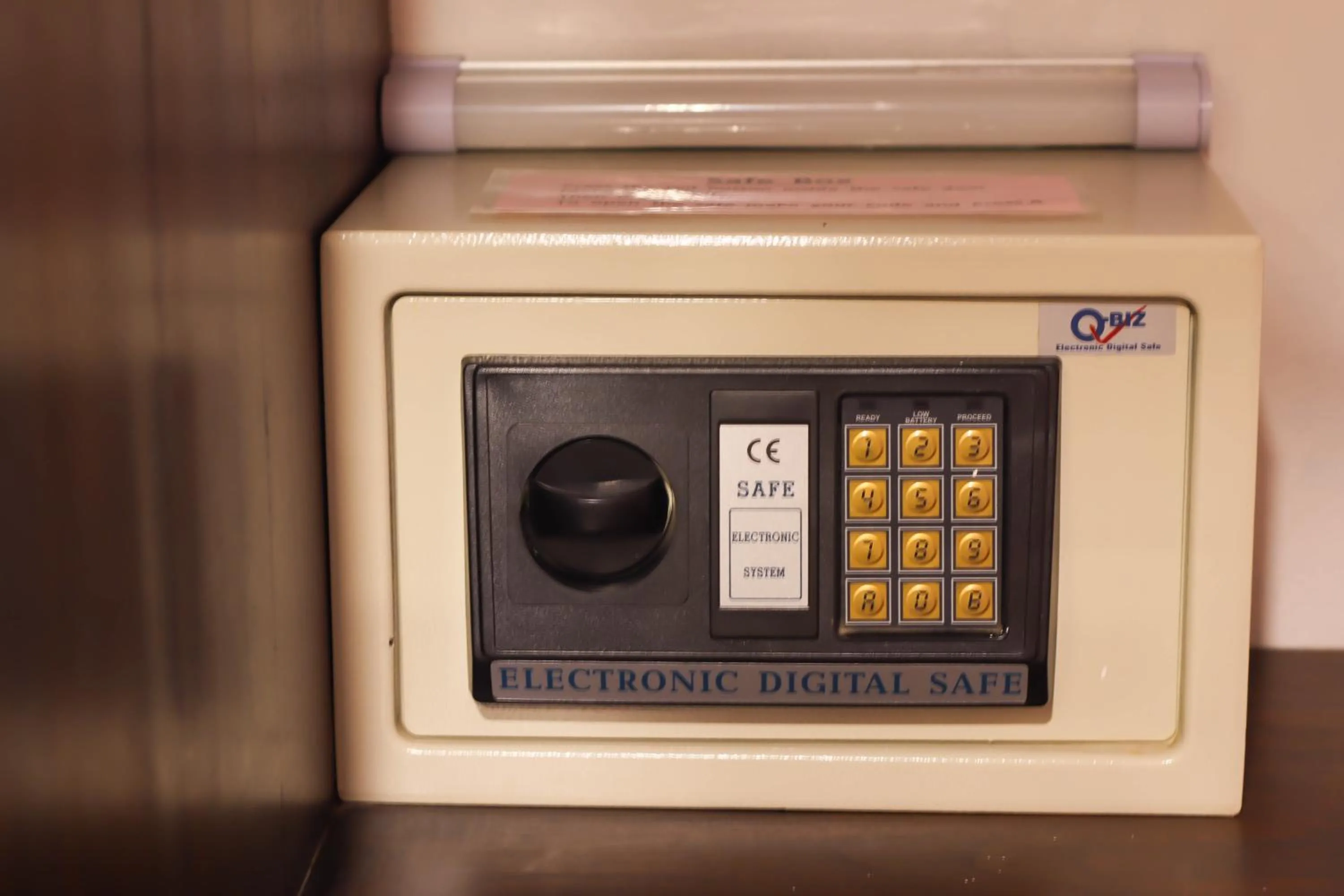 Area and facilities in Big Tree Old Town Hotel