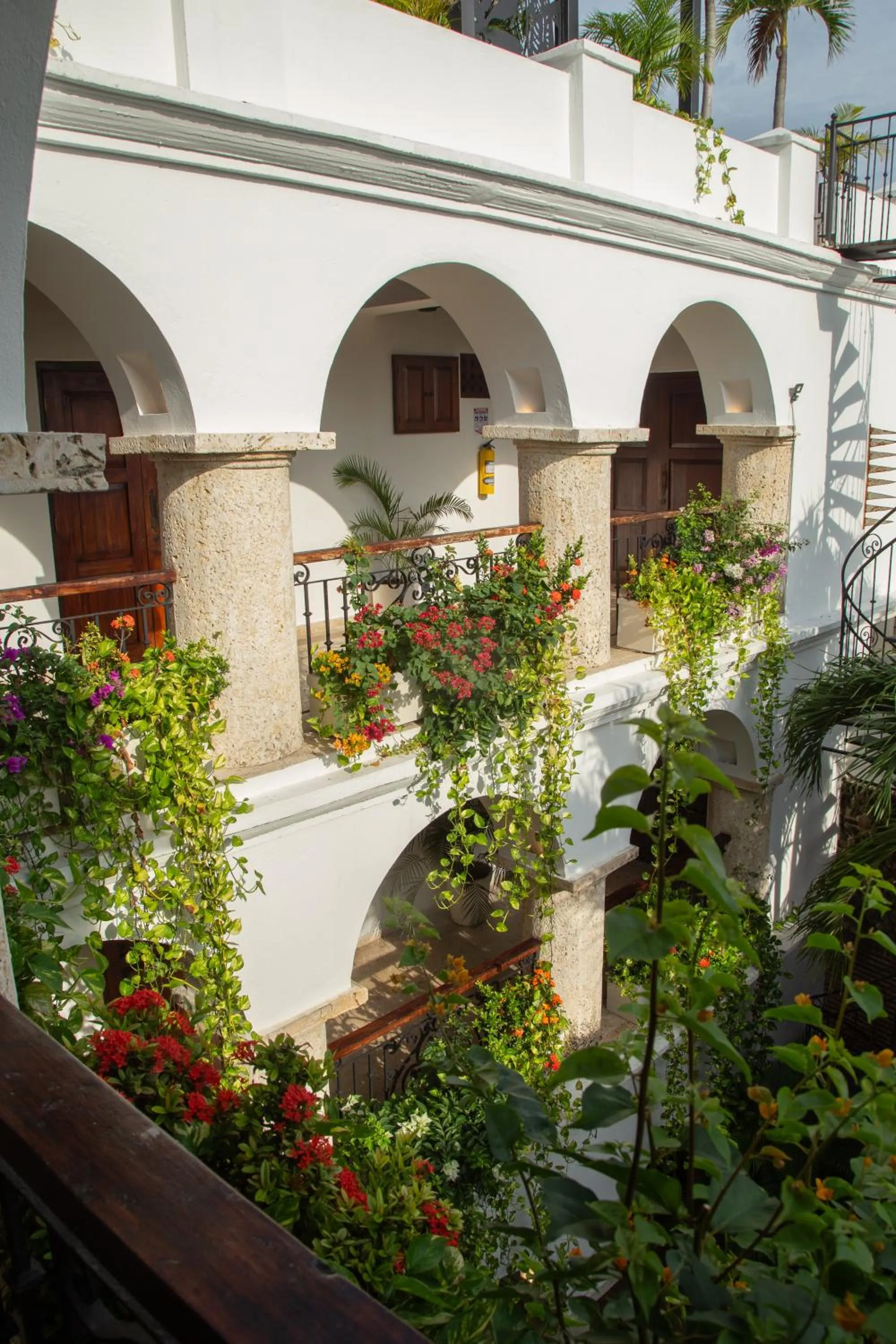 Garden in Hotel Boutique Patio Corao