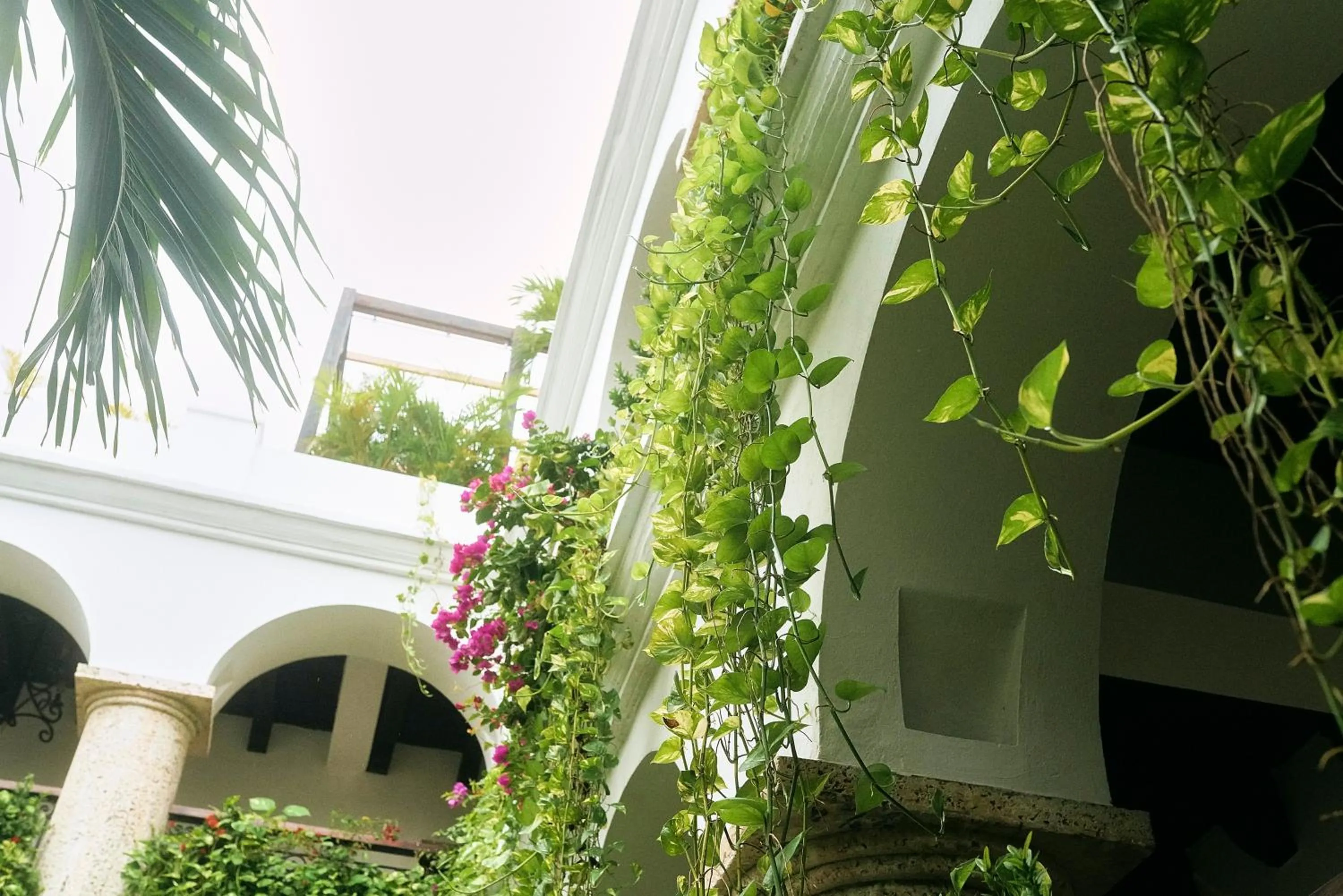 Patio in Hotel Boutique Patio Corao