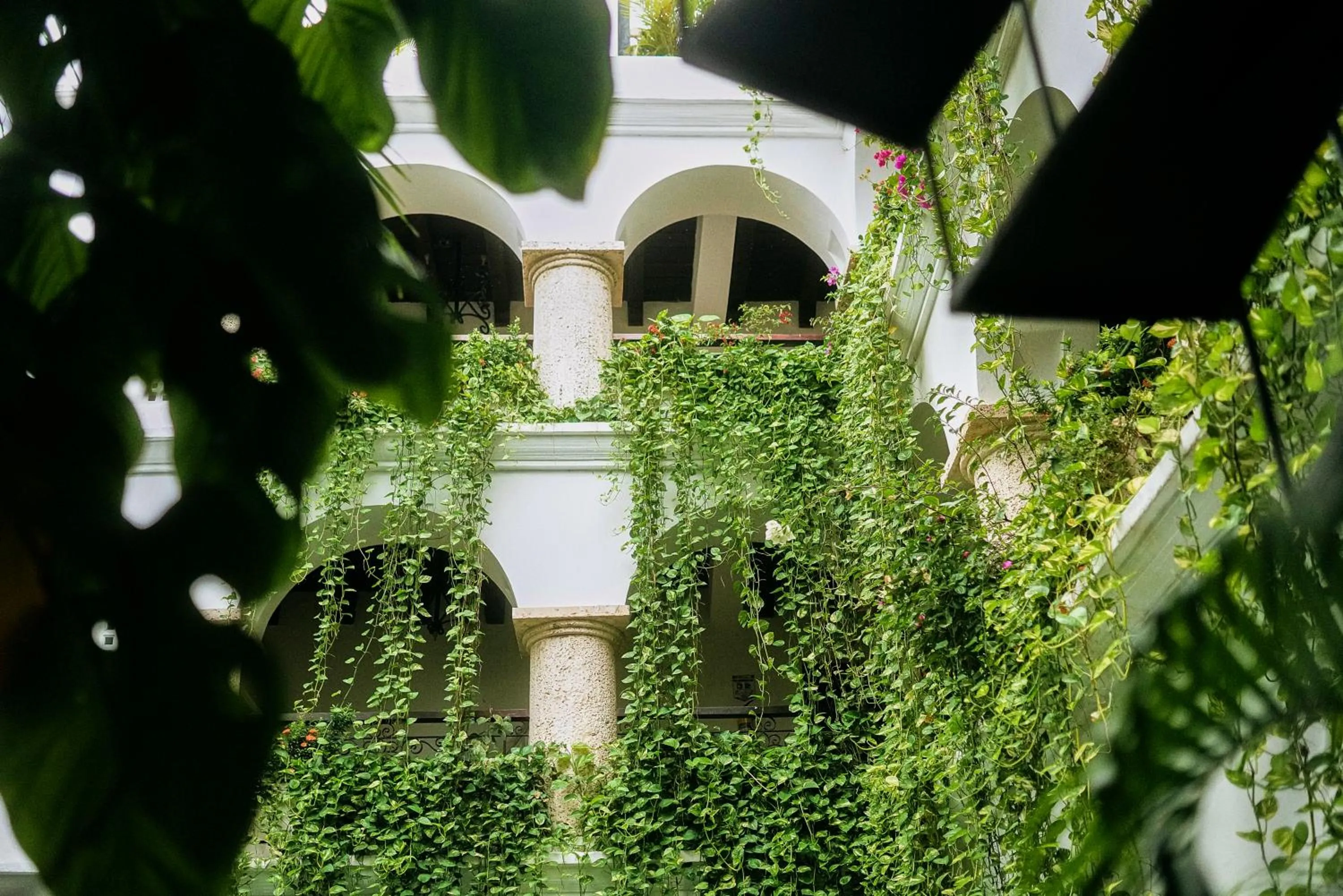 Patio in Hotel Boutique Patio Corao