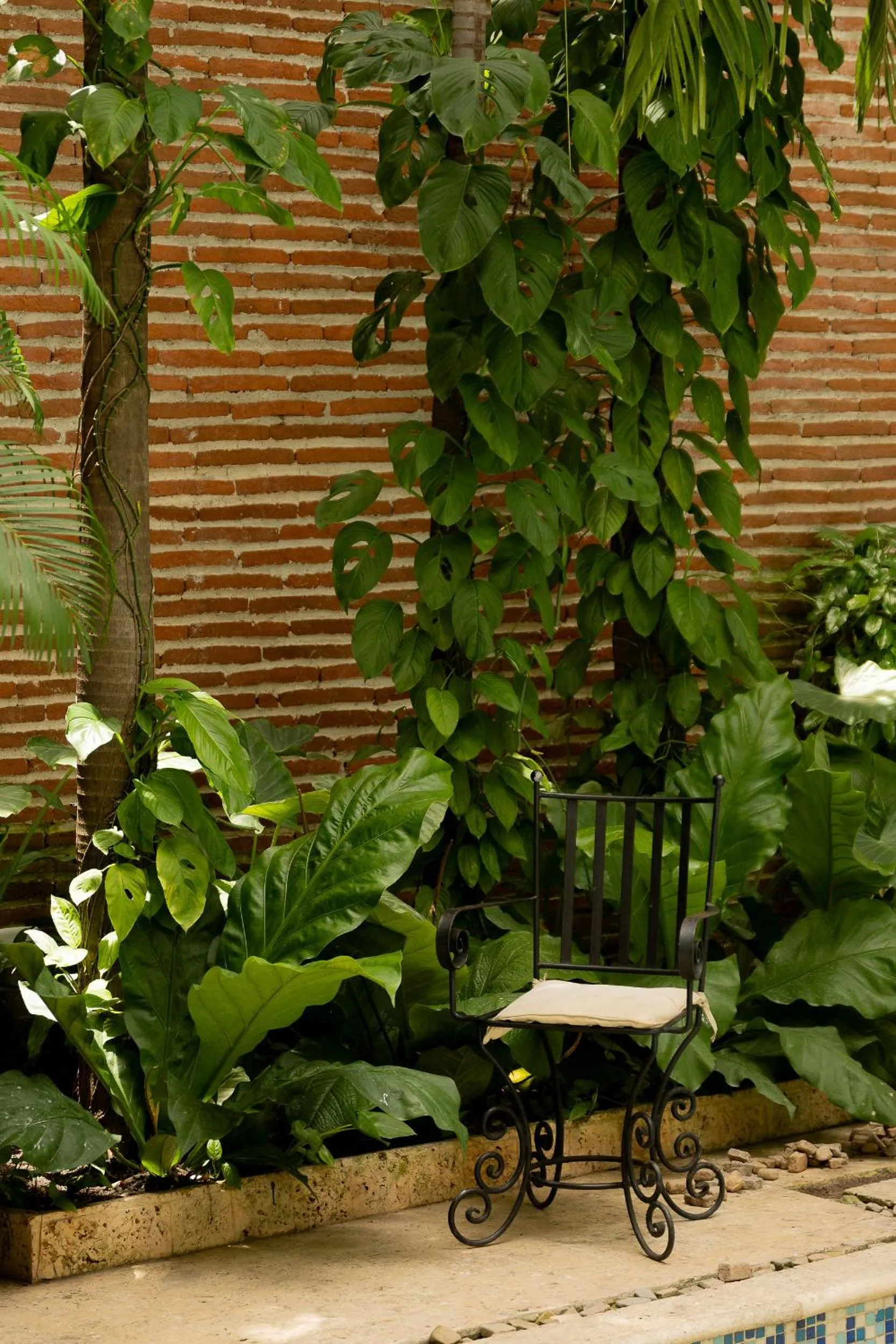 Patio in Hotel Boutique Patio Corao