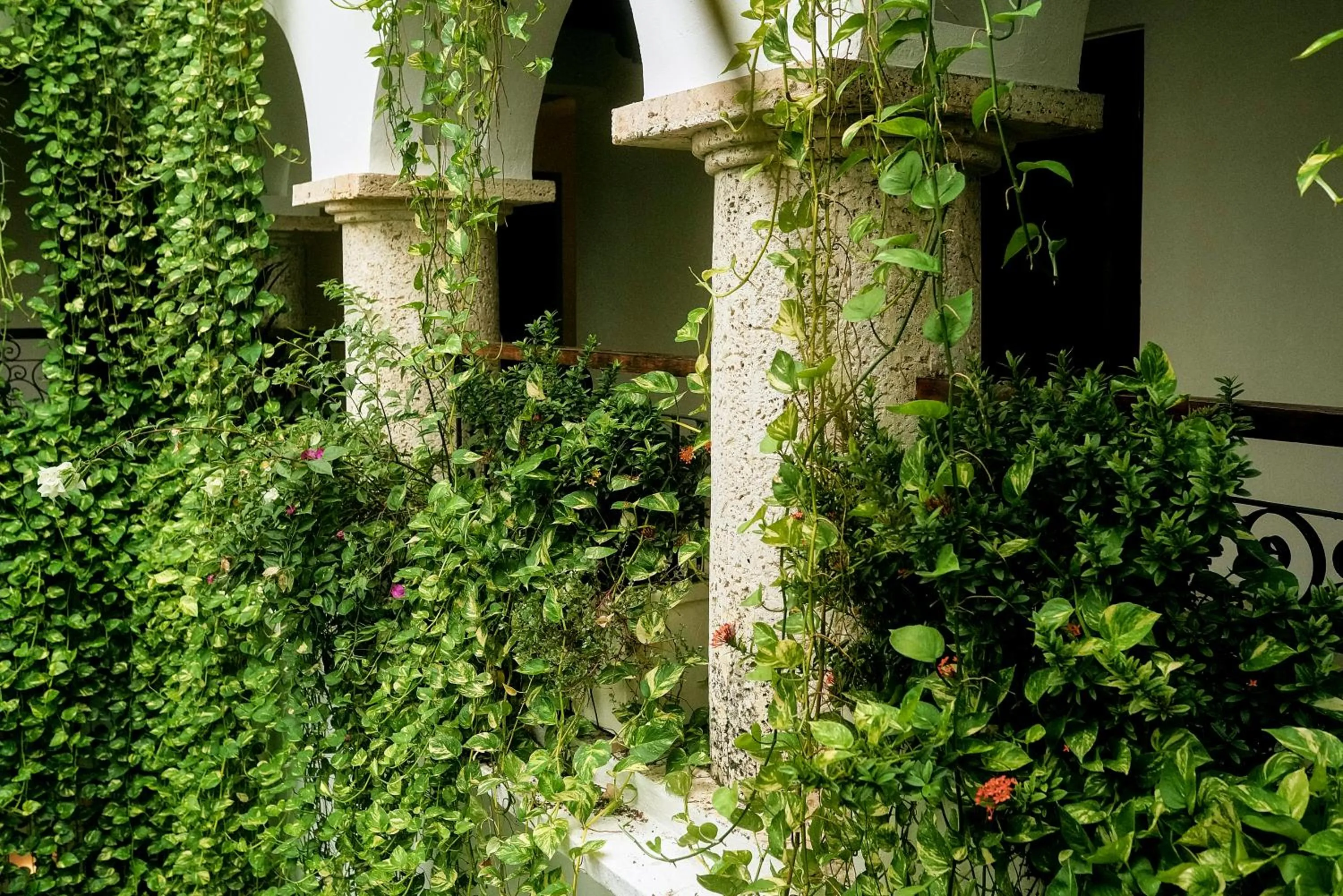 Patio in Hotel Boutique Patio Corao