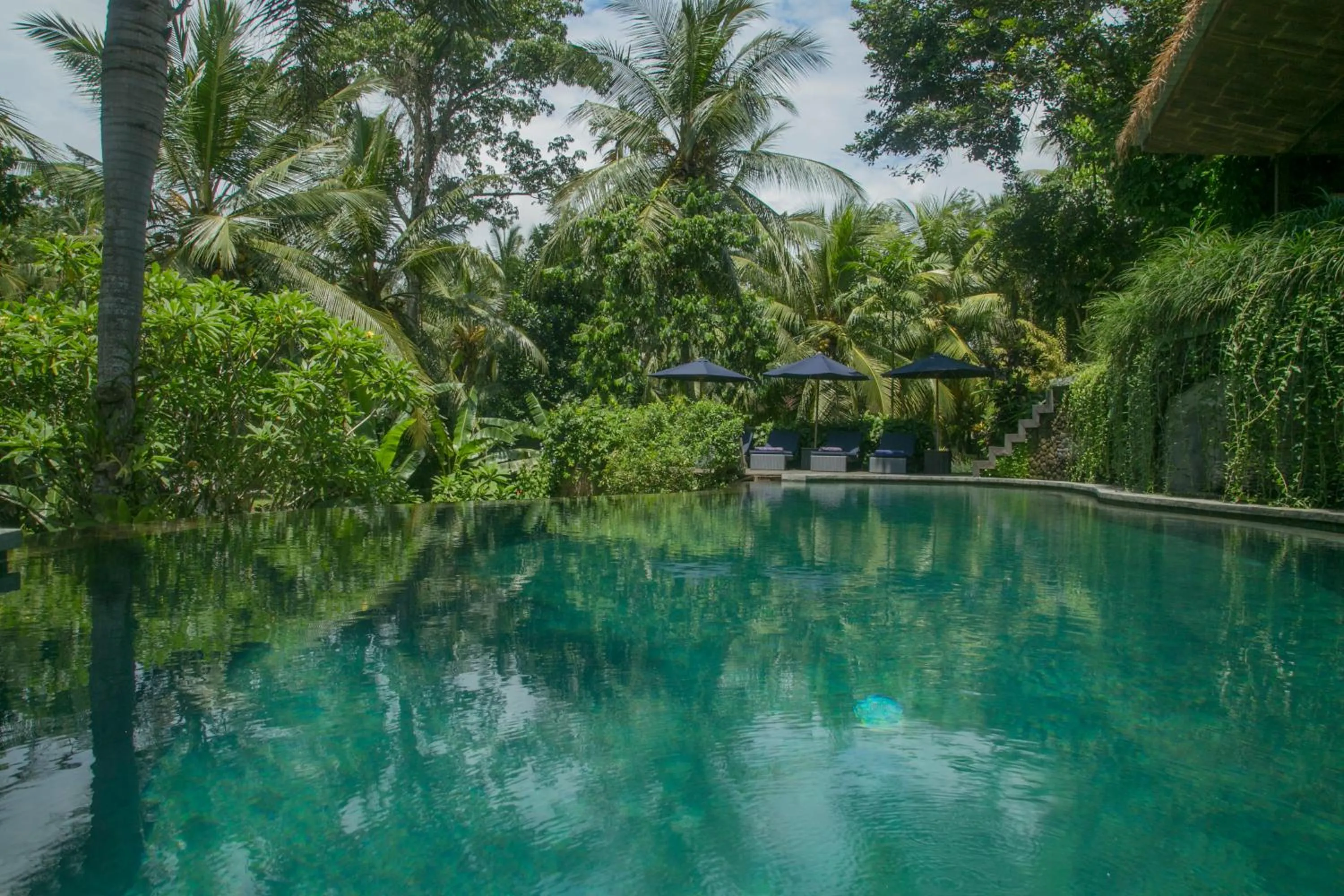 Swimming pool in Soulshine Resort Ubud, Bali