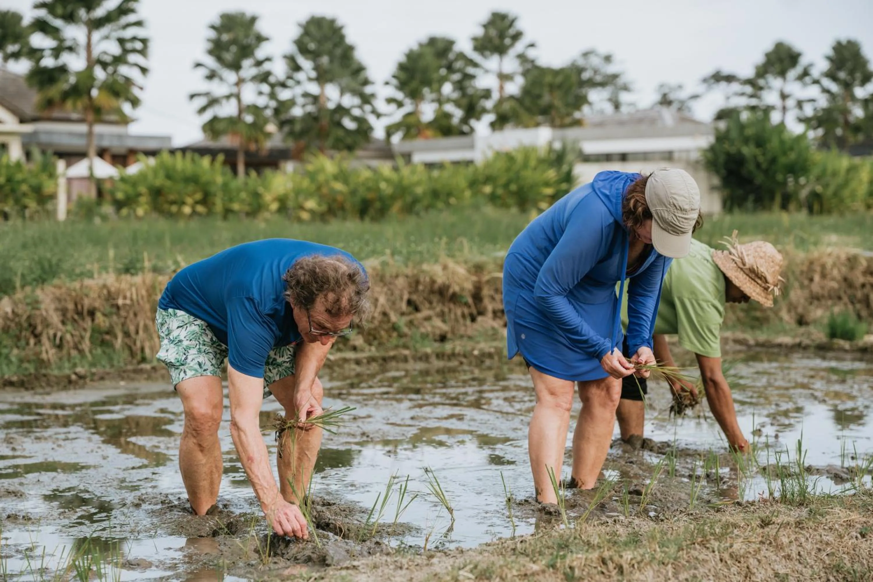 Activities in Soulshine Resort Ubud, Bali
