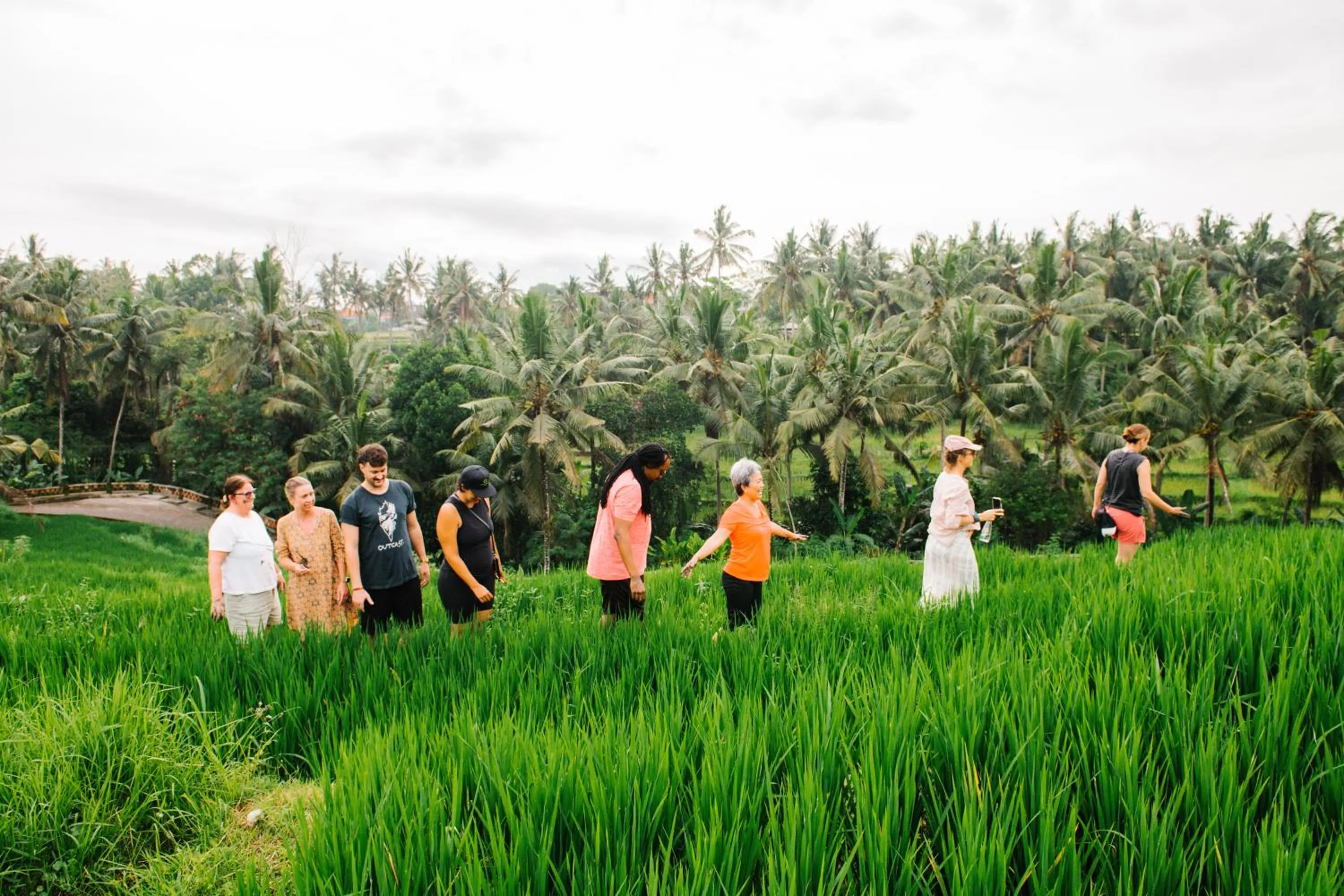 Natural landscape in Soulshine Resort Ubud, Bali