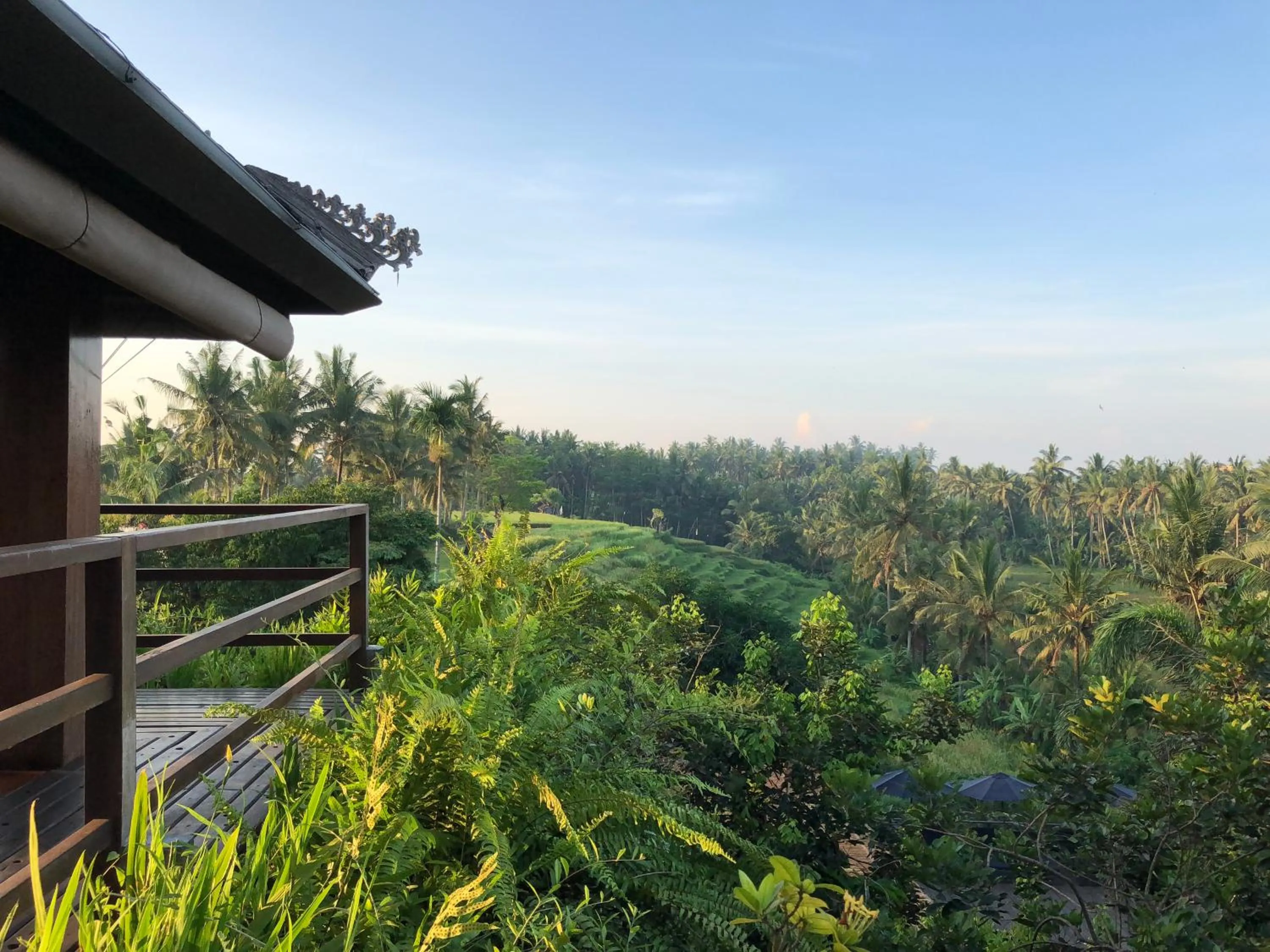Balcony/Terrace in Soulshine Resort Ubud, Bali