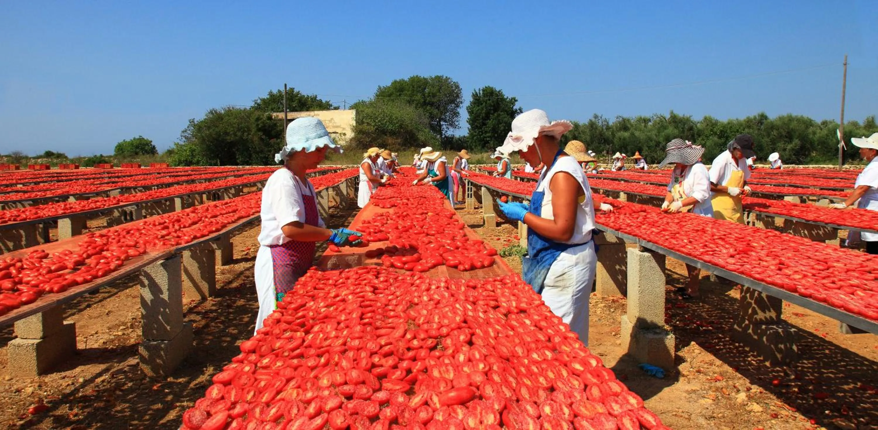 View (from property/room) in B&B Rosso Salento